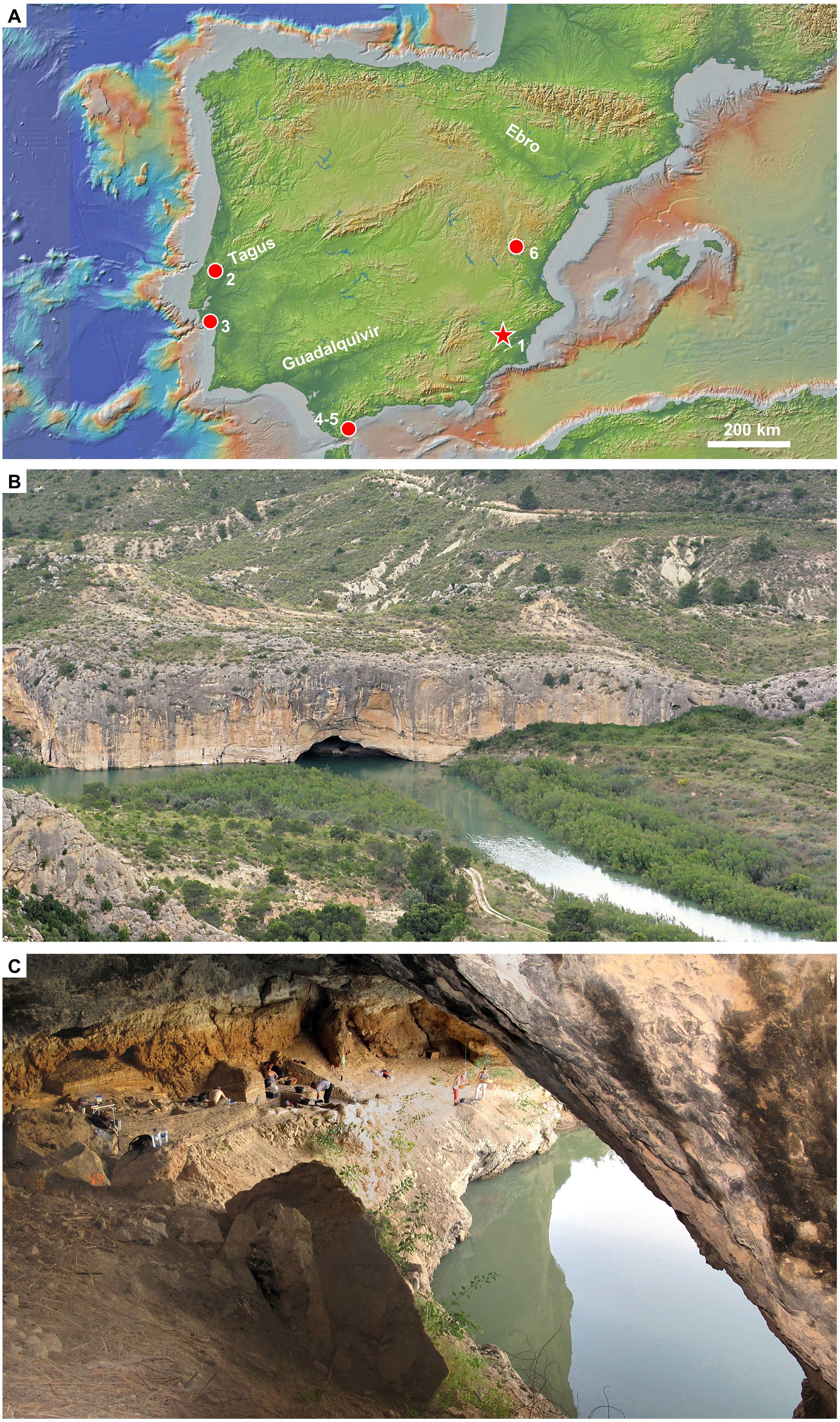 Organization of residential space, site function variability, and  seasonality of activities among MIS 5 Iberian Neandertals | Scientific  Reports