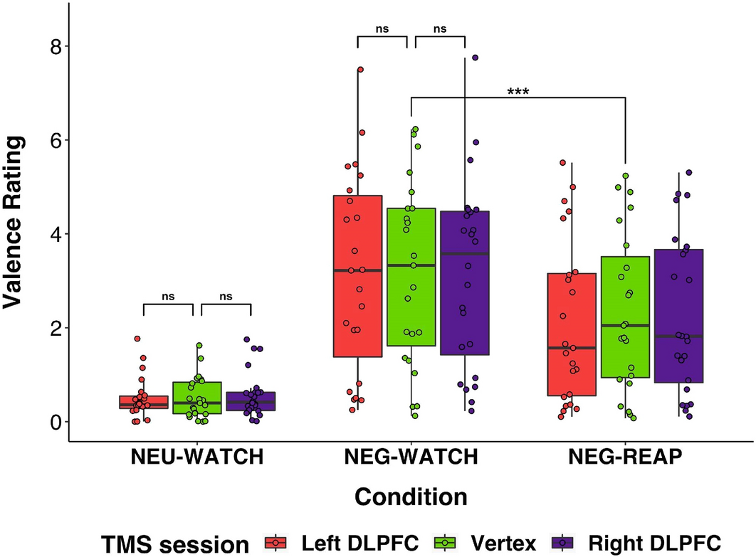 Offline rTMS inhibition of the right dorsolateral prefrontal  
