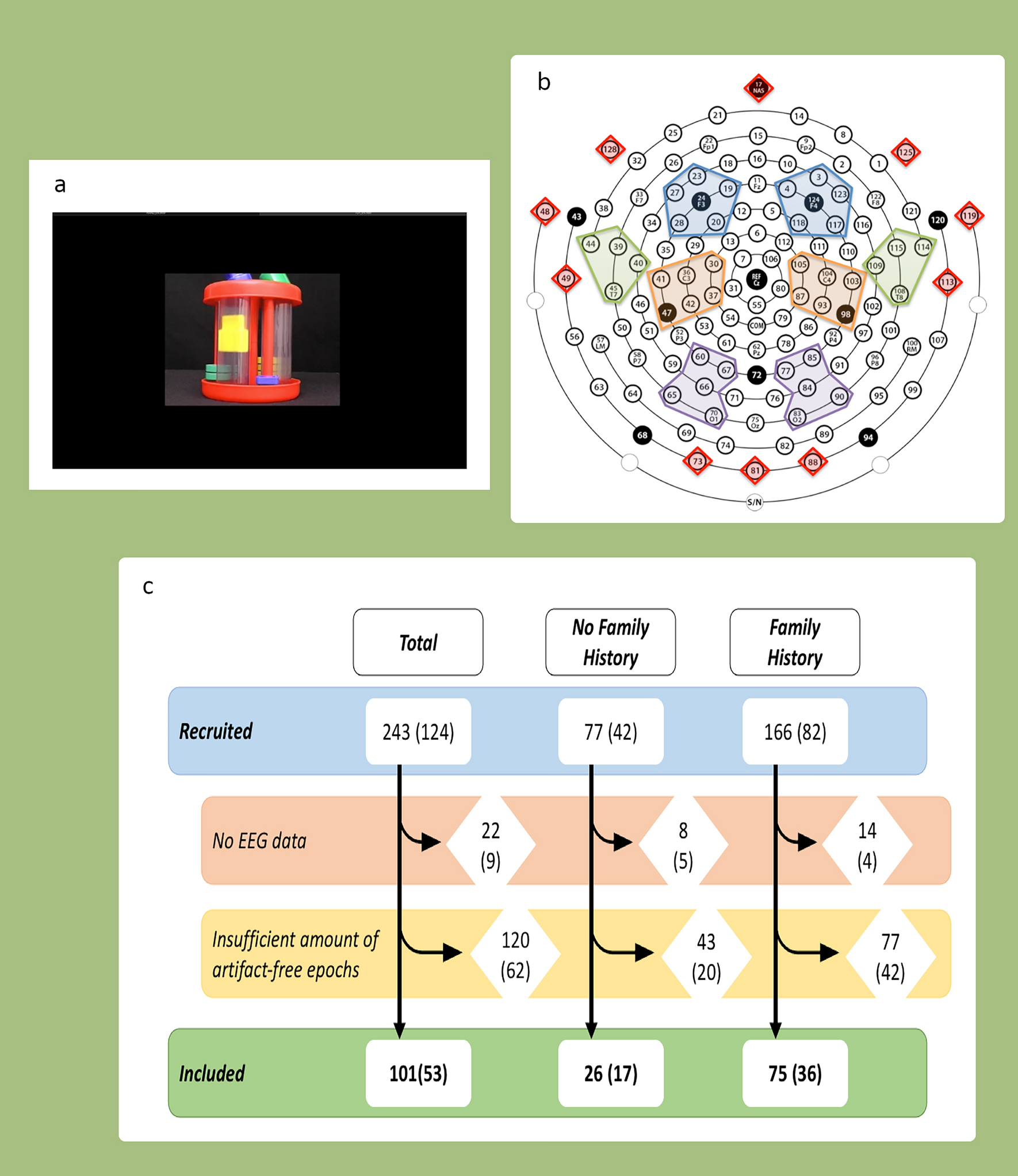 Modulation of EEG theta by naturalistic social content is not altered in  infants with family history of autism | Scientific Reports