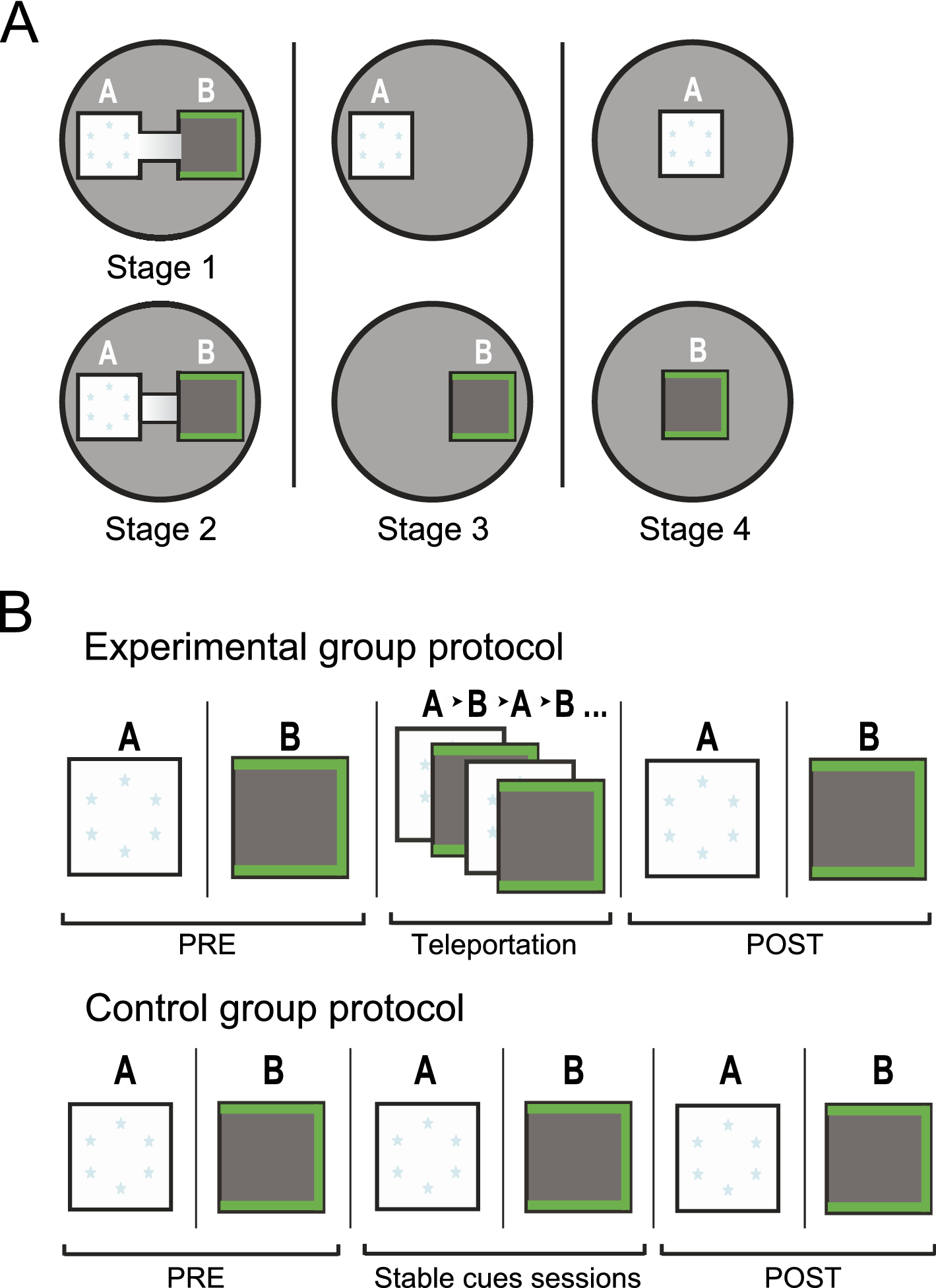 Context-independent expression of spatial code in hippocampus | Scientific  Reports