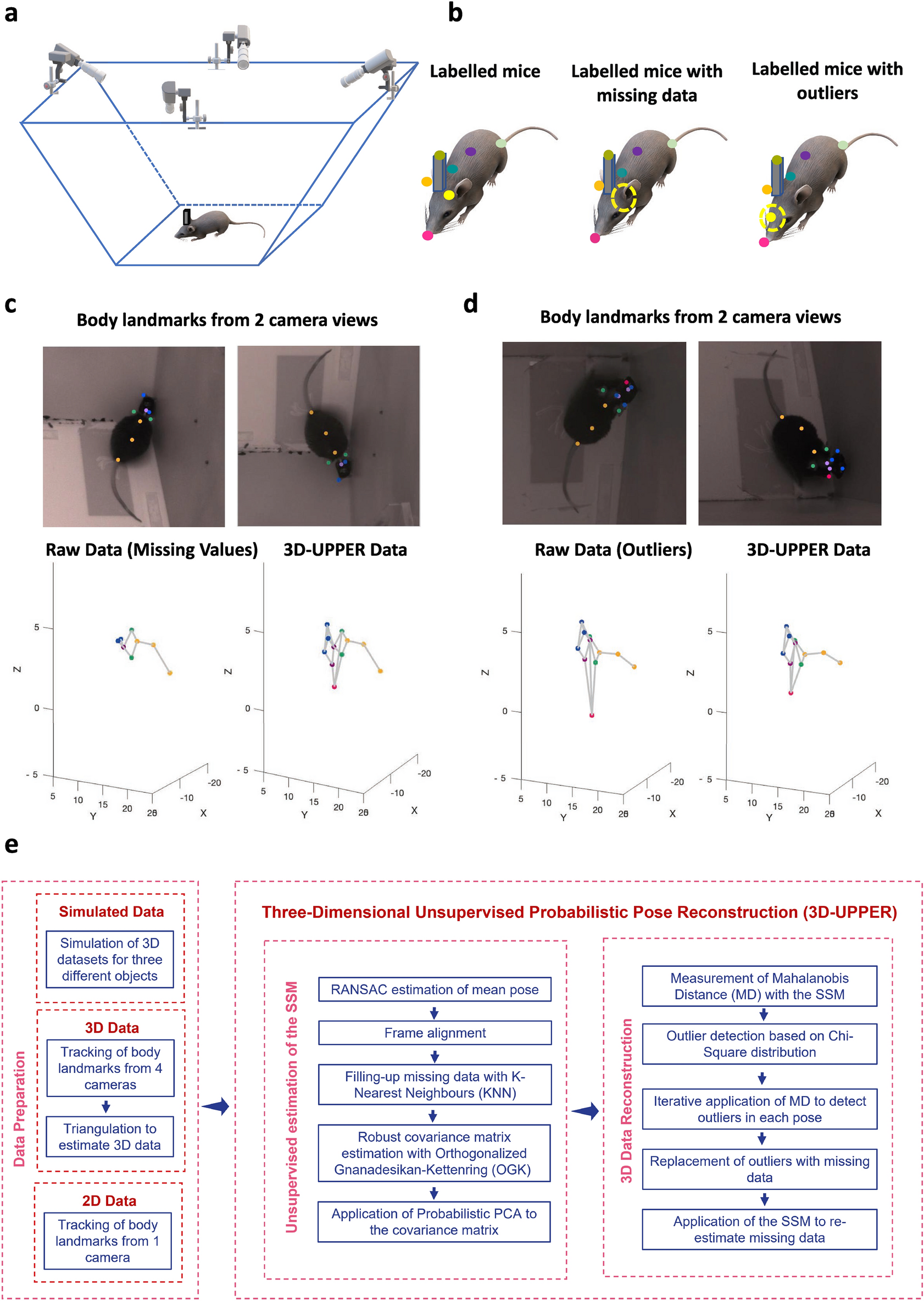 3D mouse pose from single-view video and a new dataset