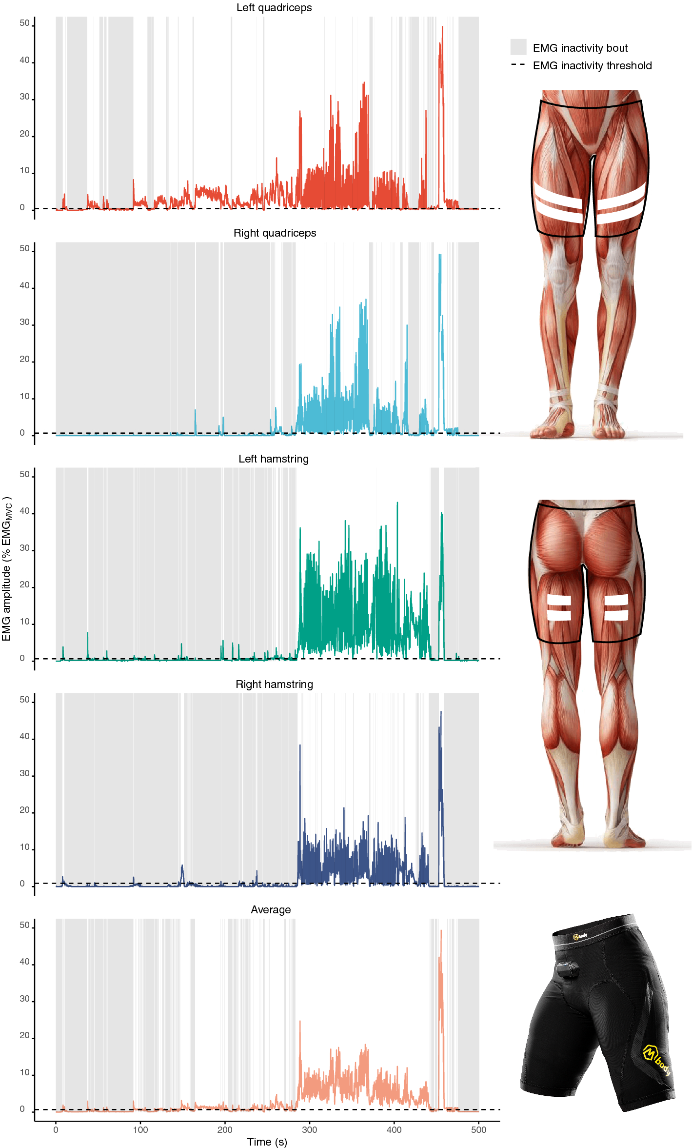 Electromyographic evaluation of upper limb muscles involved in armwrestling  sport simulation during dynamic and static conditions - ScienceDirect