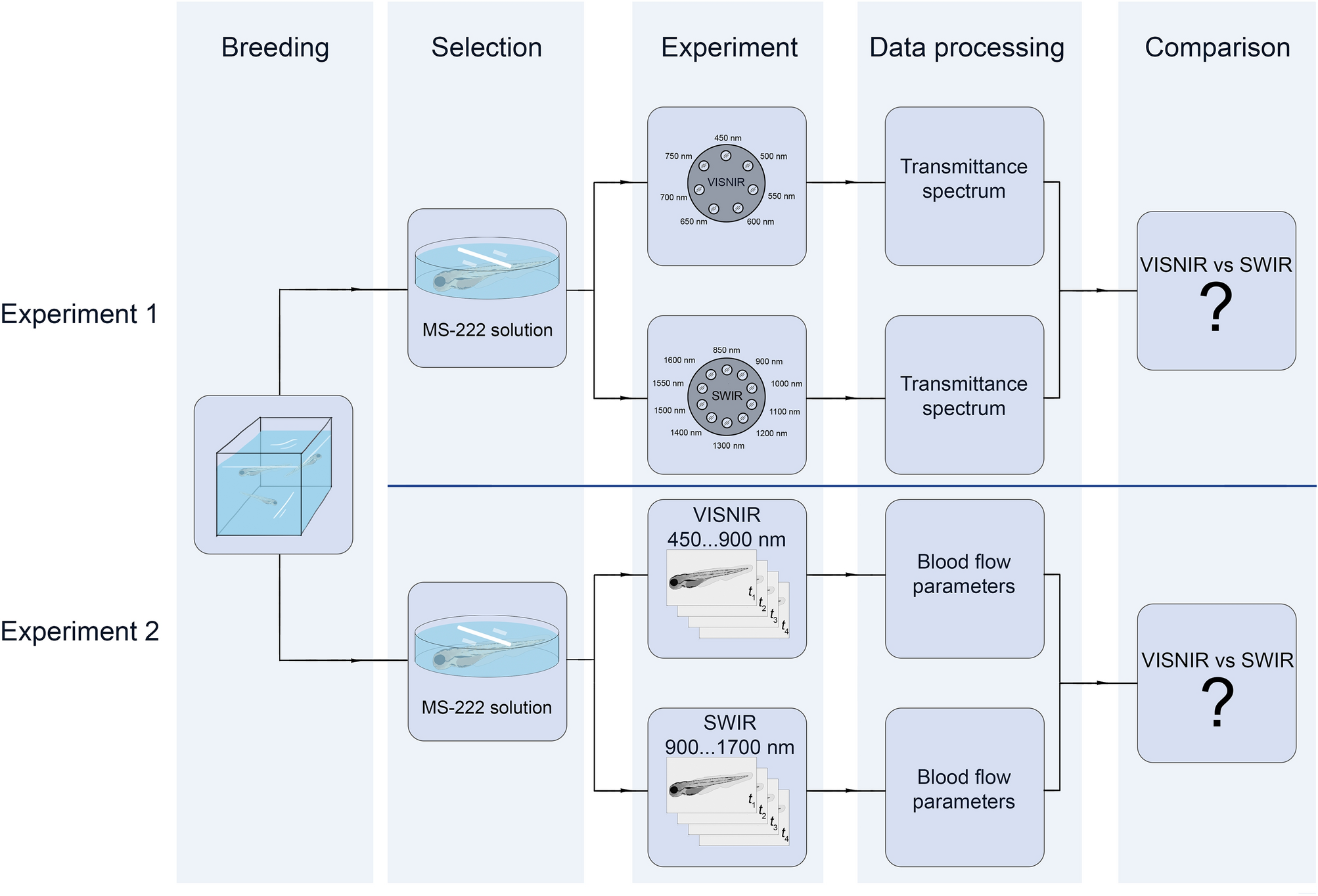 Systems Toxicology Approach for Testing Chemical Cardiotoxicity in Larval  Zebrafish