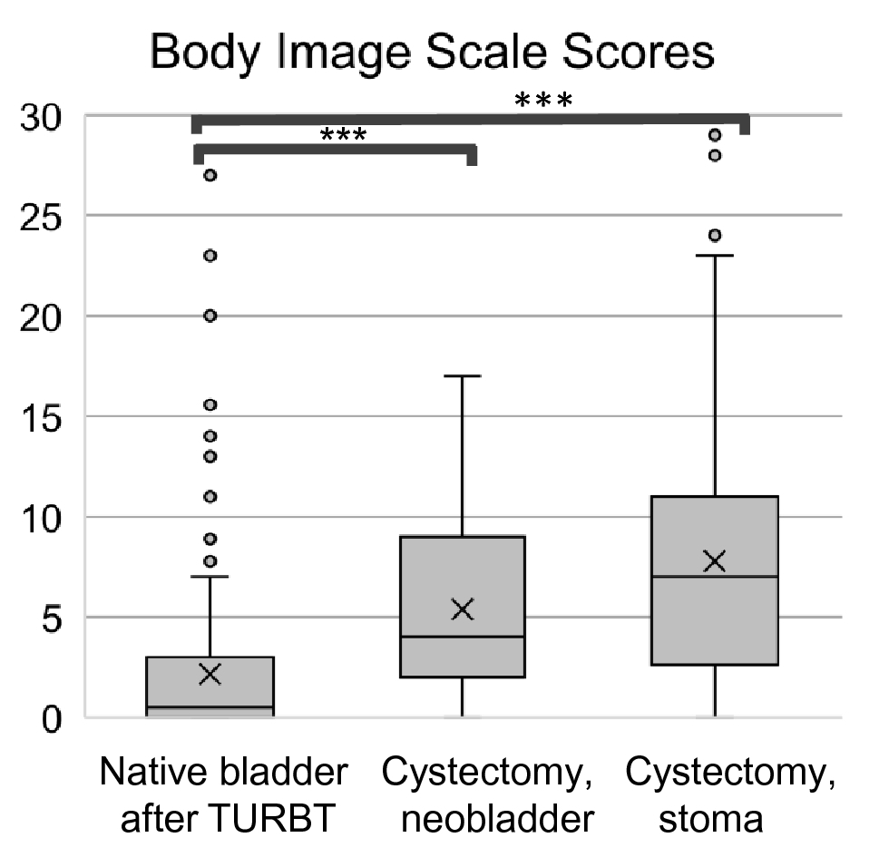 Validation of the Japanese version of the Body Image Scale for bladder  cancer patients | Scientific Reports
