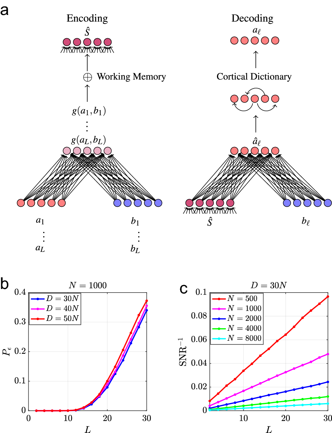 PDF) Prolegomena to a Neurocomputational Architecture for Human Grammatical  Encoding and Decoding