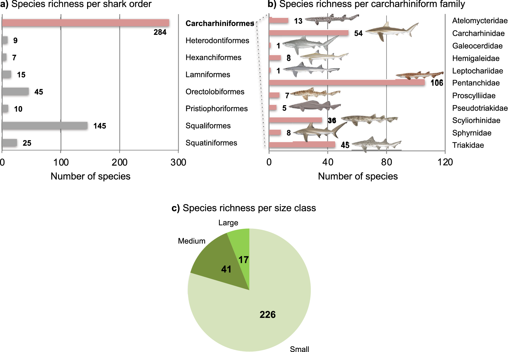 Combining palaeontological and neontological data shows a delayed  diversification burst of carcharhiniform sharks likely mediated by  environmental change | Scientific Reports