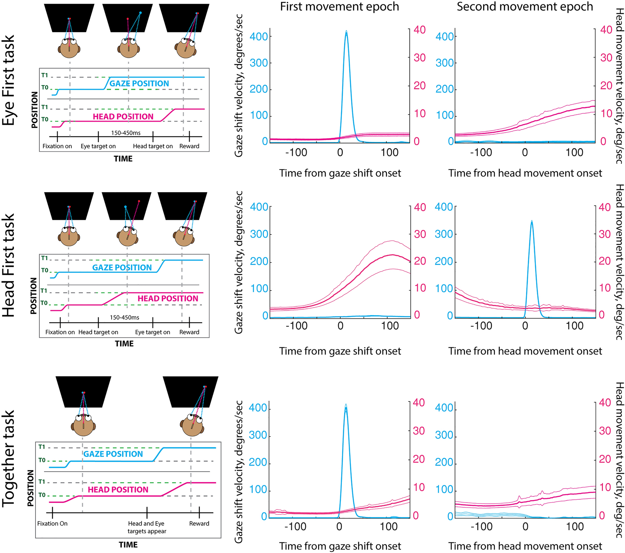 Macaque SEF Neurons Encode Object-Centered Directions of Eye