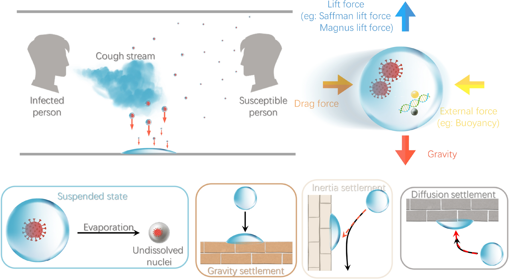 Coronavirus (COVID-19) : les masques et …