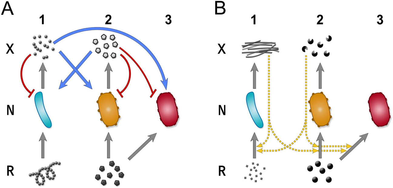Eco-evolutionary modelling of microbial syntrophy indicates the robustness  of cross-feeding over cross-facilitation | Scientific Reports