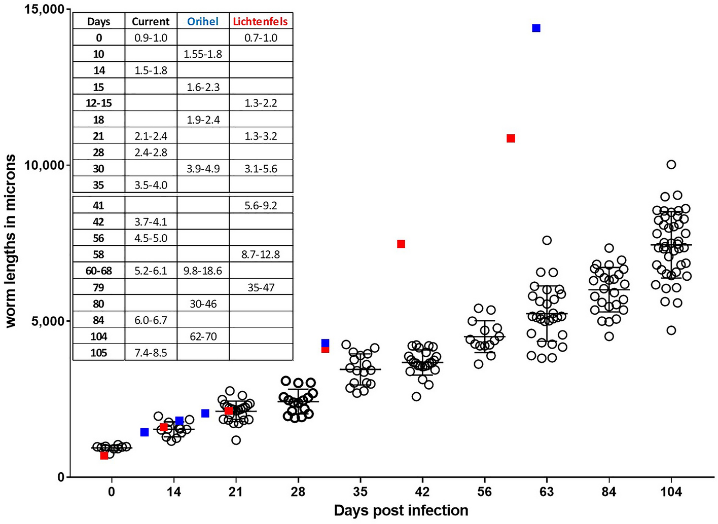 A rodent model for Dirofilaria immitis canine heartworm parasite  