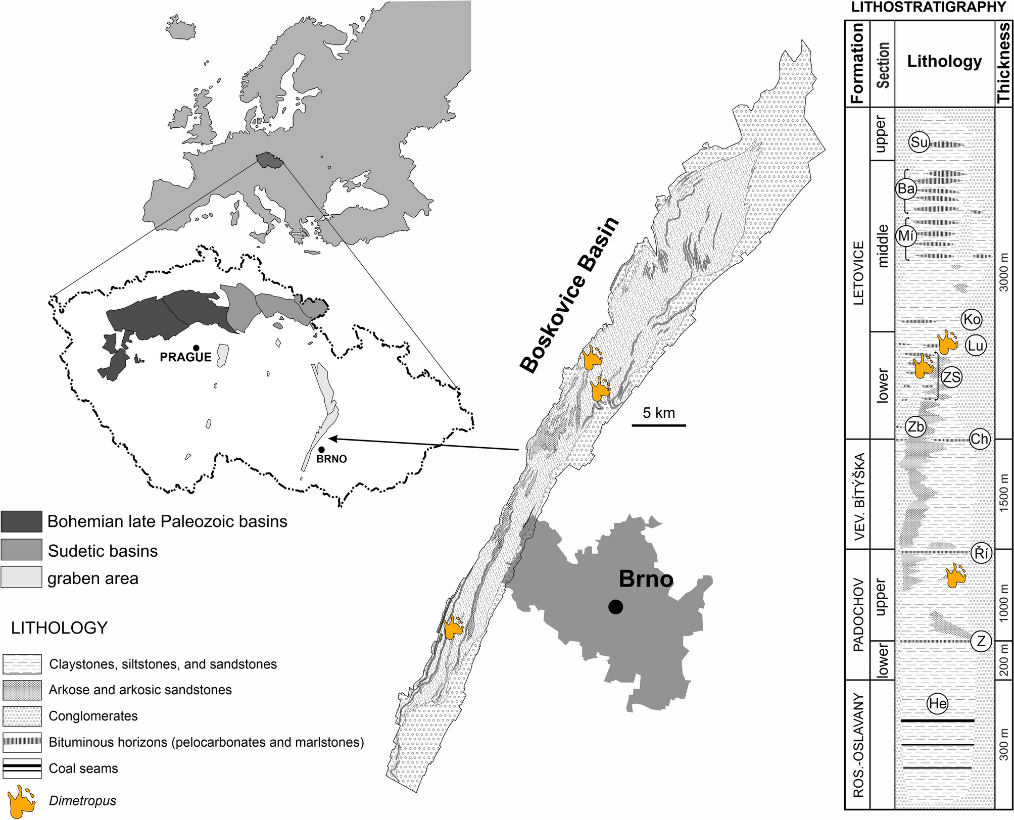 Synapsid tracks with skin impressions illuminate the terrestrial tetrapod  diversity in the earliest Permian of equatorial Pangea | Scientific Reports