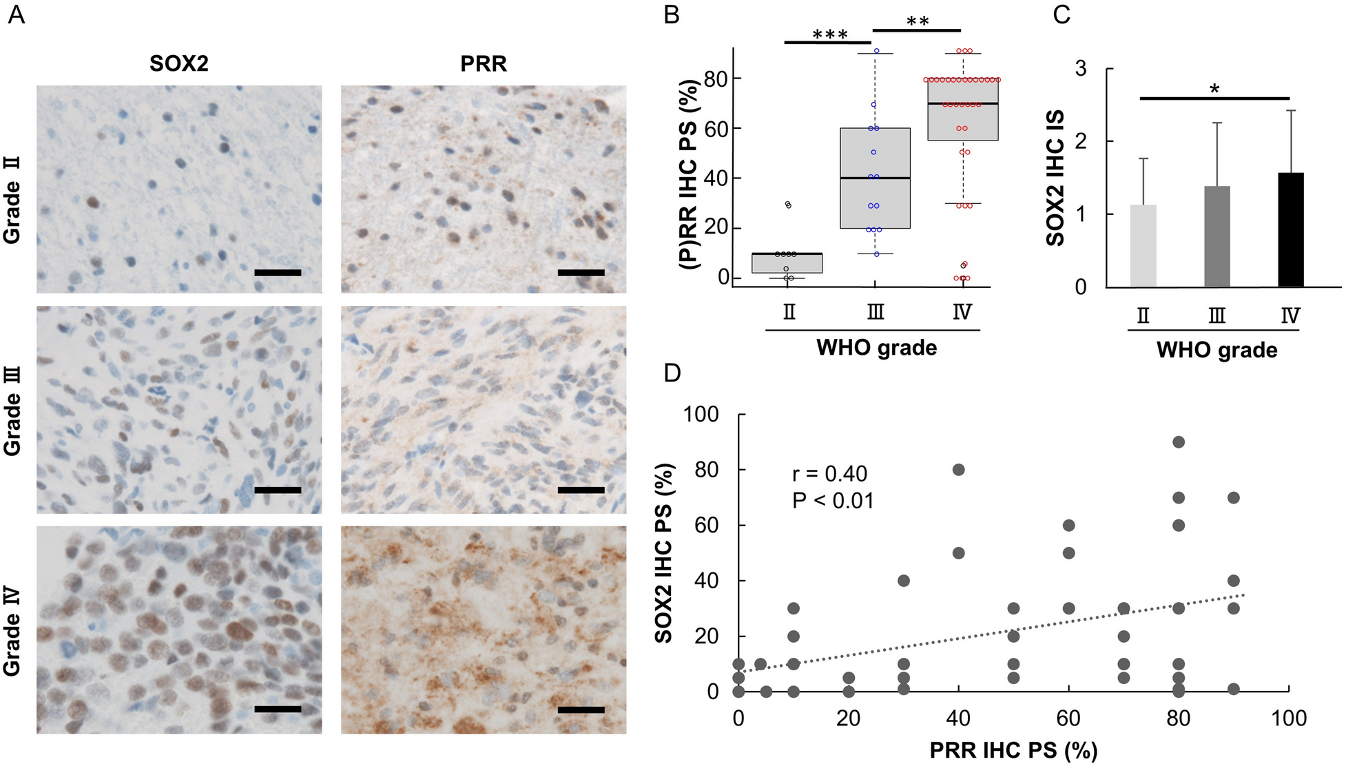 RI.CARE implied nude Functional specificity and neural integration in the aesthetic appreciation  of artworks with implied motion - Bara - 2021 - European Journal of  Neuroscience - Wiley Online Library