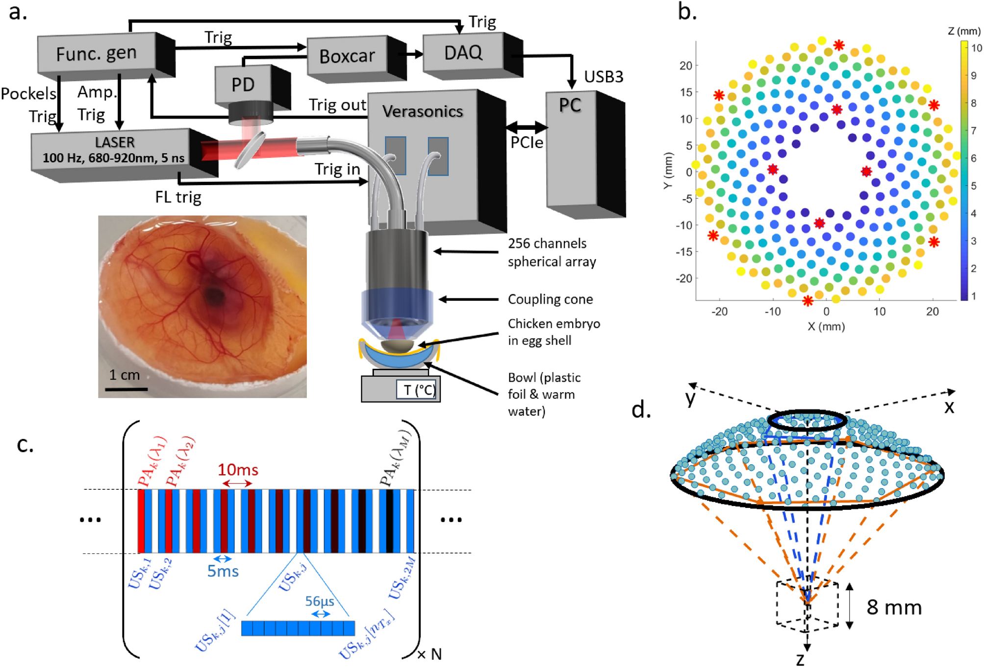 Full-visibility 3D imaging of oxygenation and blood flow by simultaneous  multispectral photoacoustic fluctuation imaging (MS-PAFI) and ultrasound  Doppler | Scientific Reports