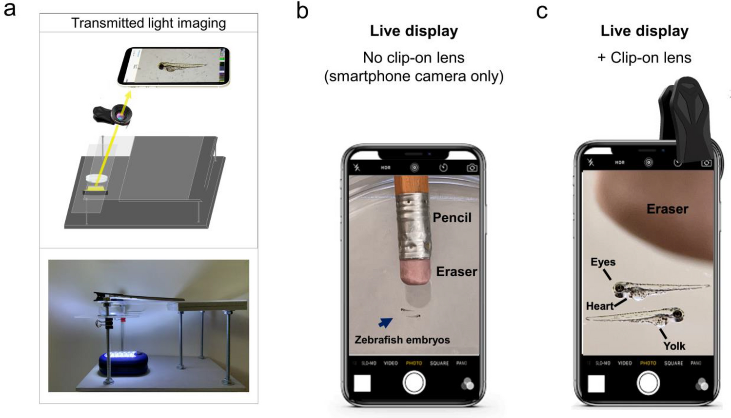 Microscope Lens Cellphone Adapter, Microscope Smartphone Camera