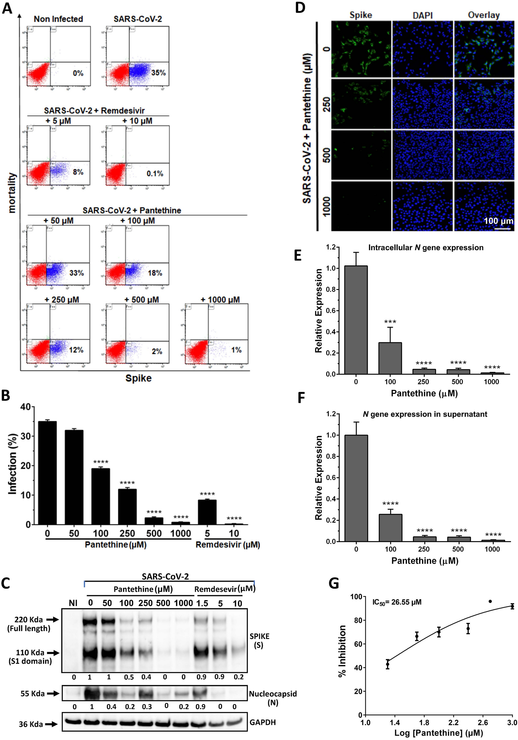 Potential antiviral effects of pantethine against SARS-CoV-2