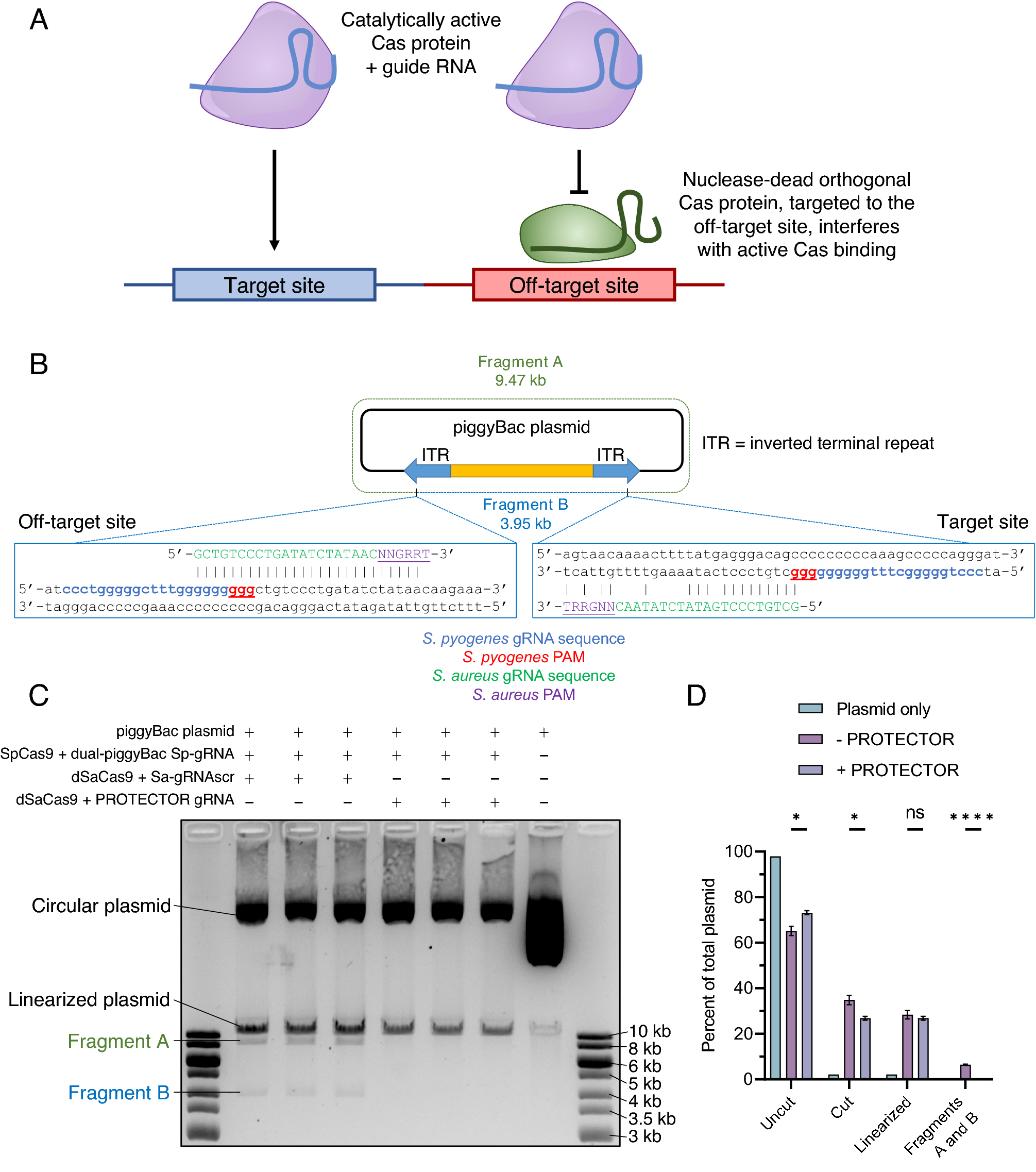 Super Interessante #453 - Jul23, PDF, CRISPR