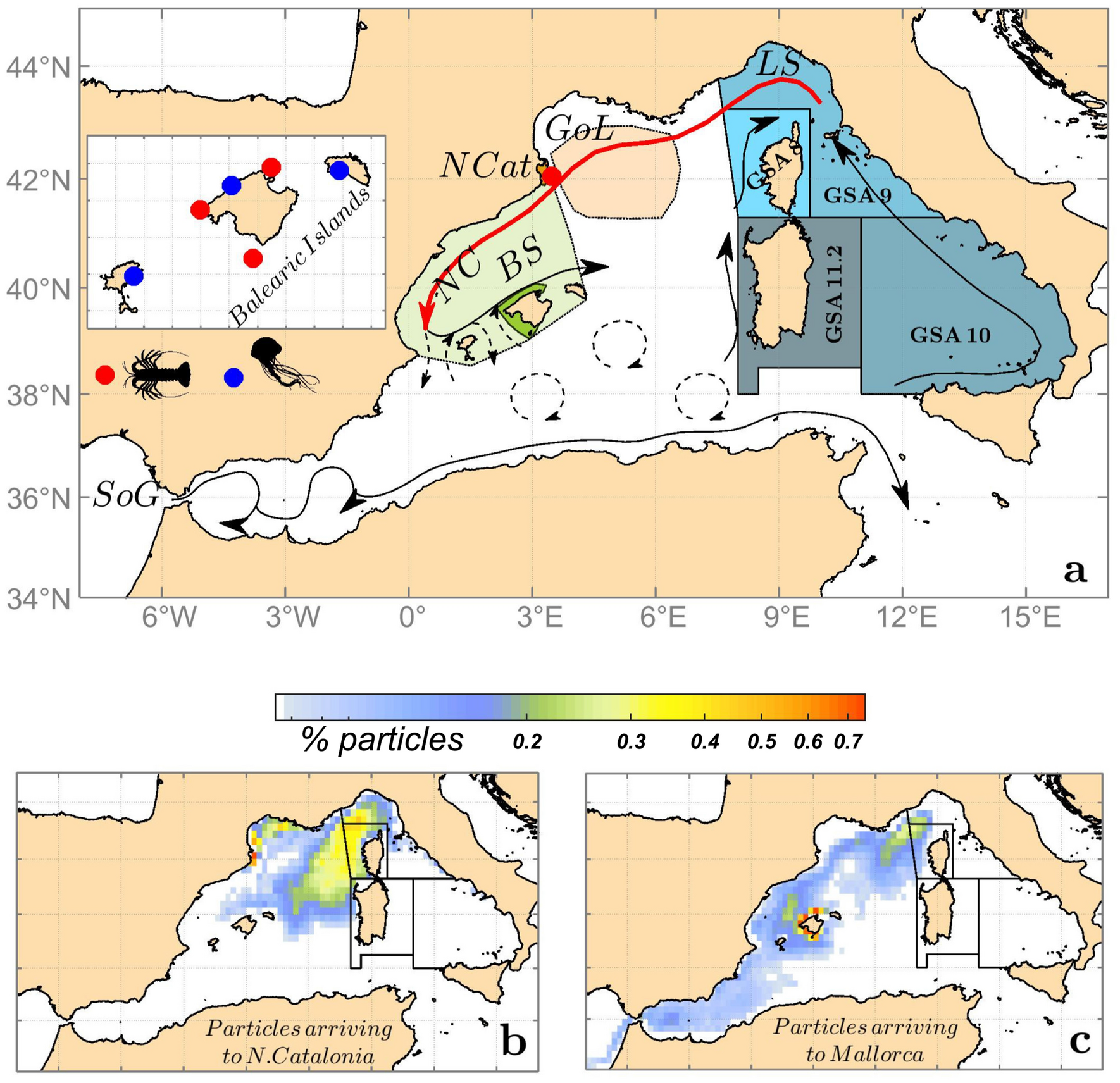 Contrasting surface warming of a marginal basin due to large-scale climatic  patterns and local forcing