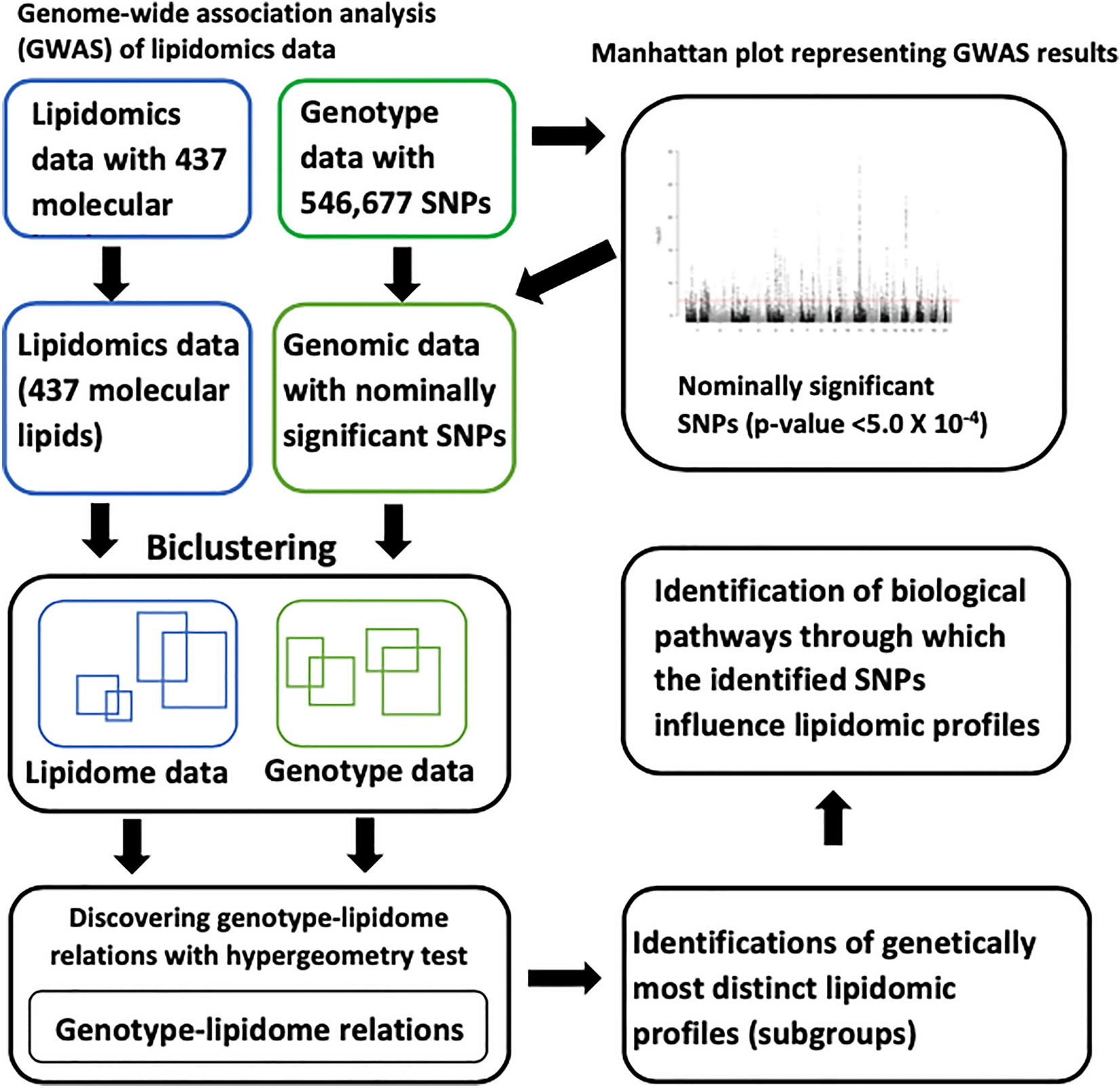 Uncovering the complex genetic architecture of human plasma lipidome using  machine learning methods | Scientific Reports