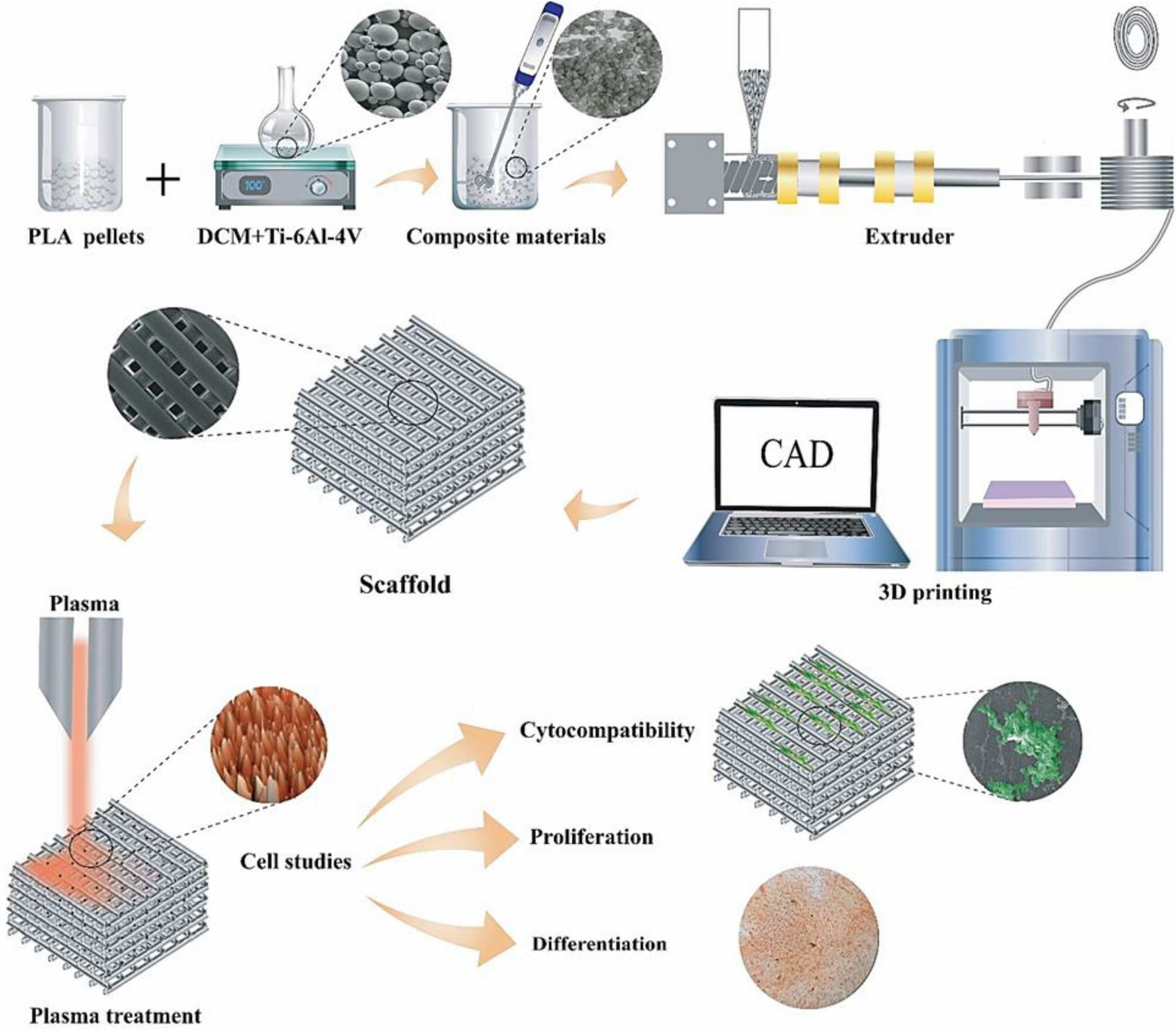 PDF) Bioprinting Applications in Craniofacial Regeneration