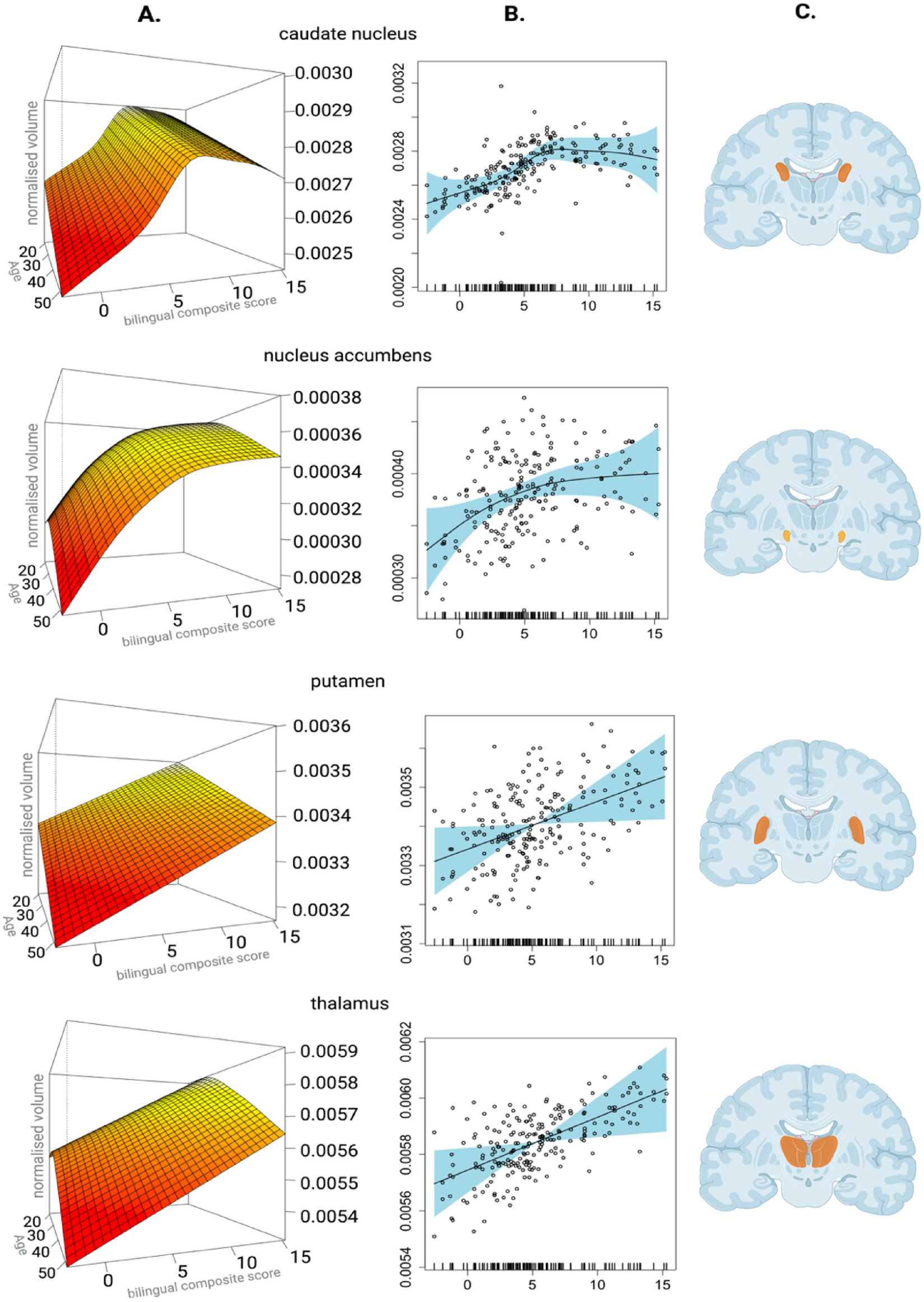 Dynamic effects of bilingualism on brain structure map onto general  principles of experience-based neuroplasticity
