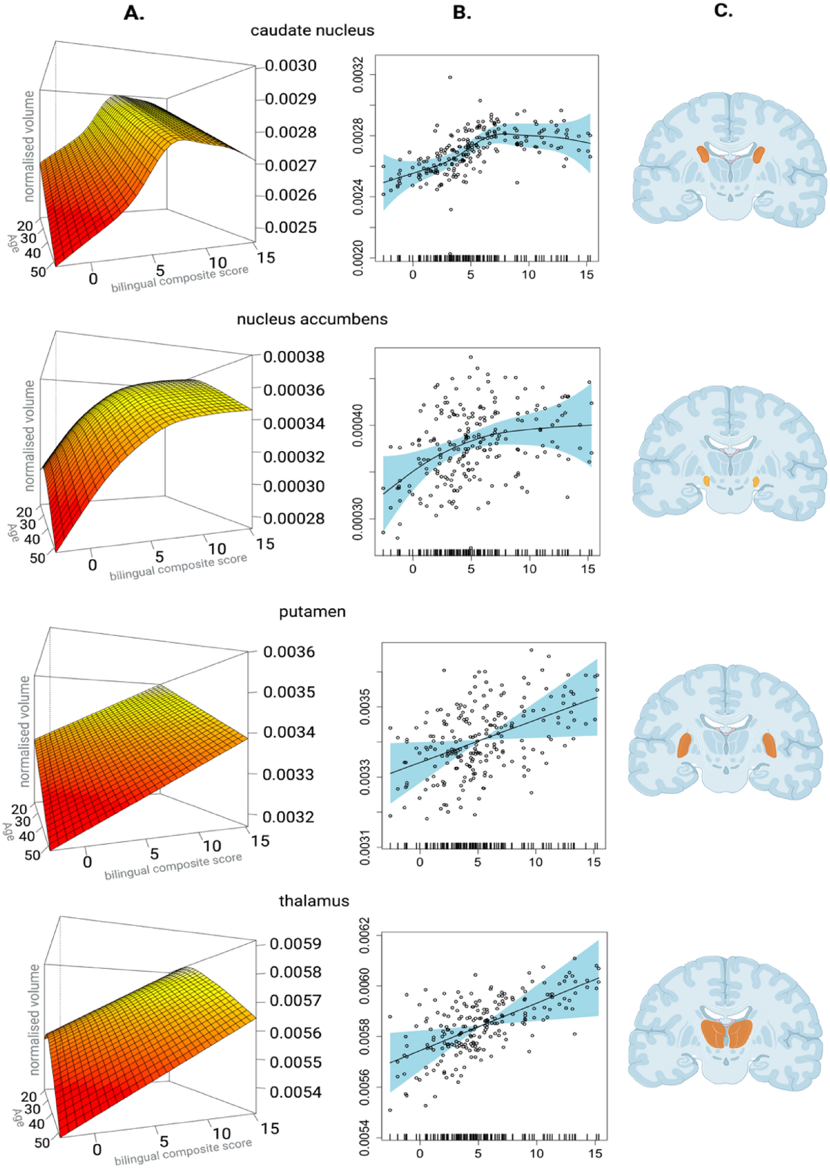 Bilingual benefits: Learning a second language boosts brain health - Study  Finds