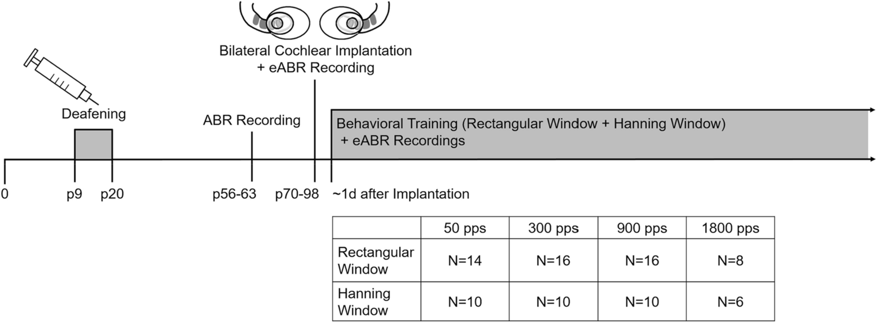 Empirical Rabbit: Rating vs. Time on the Clock