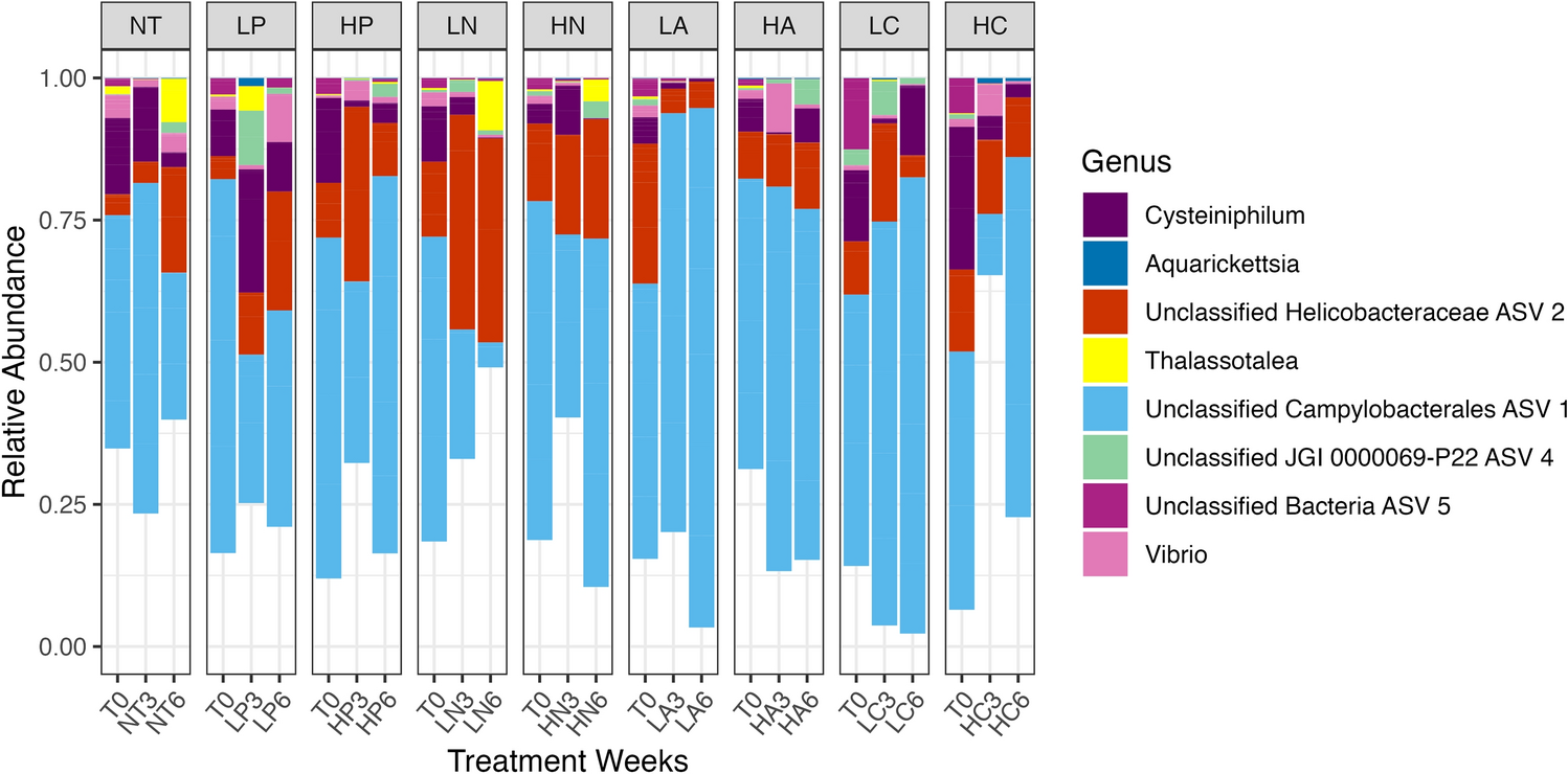 Microbiomes of a disease-resistant genotype of Acropora cervicornis are  resistant to acute, but not chronic, nutrient enrichment