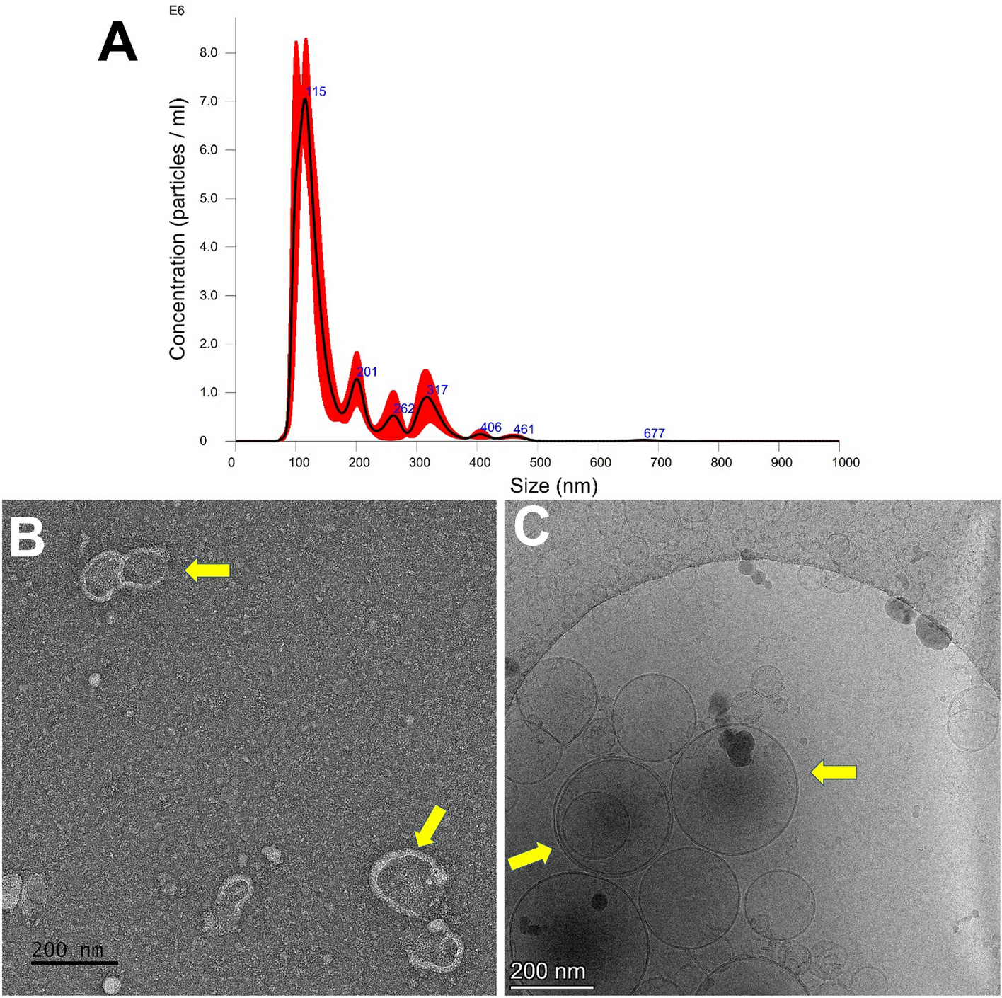 Blood stain removal analysis of enzyme preparation. Unwashed