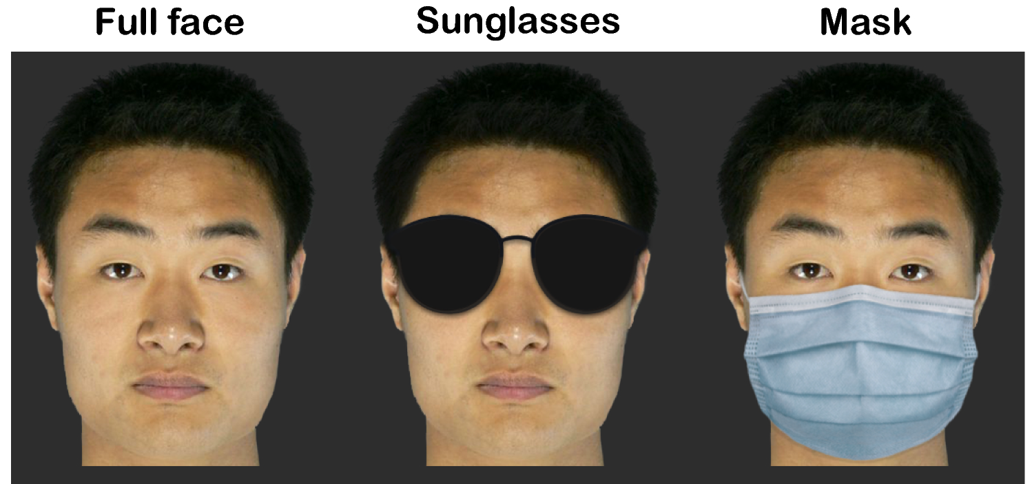 Face masks are less effective than sunglasses in masking face identity Scientific Reports