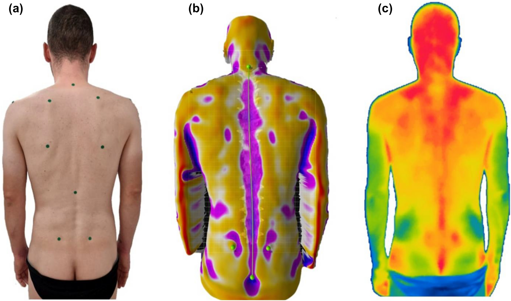 PDF] Estimation of human body shape and cloth field in front of a