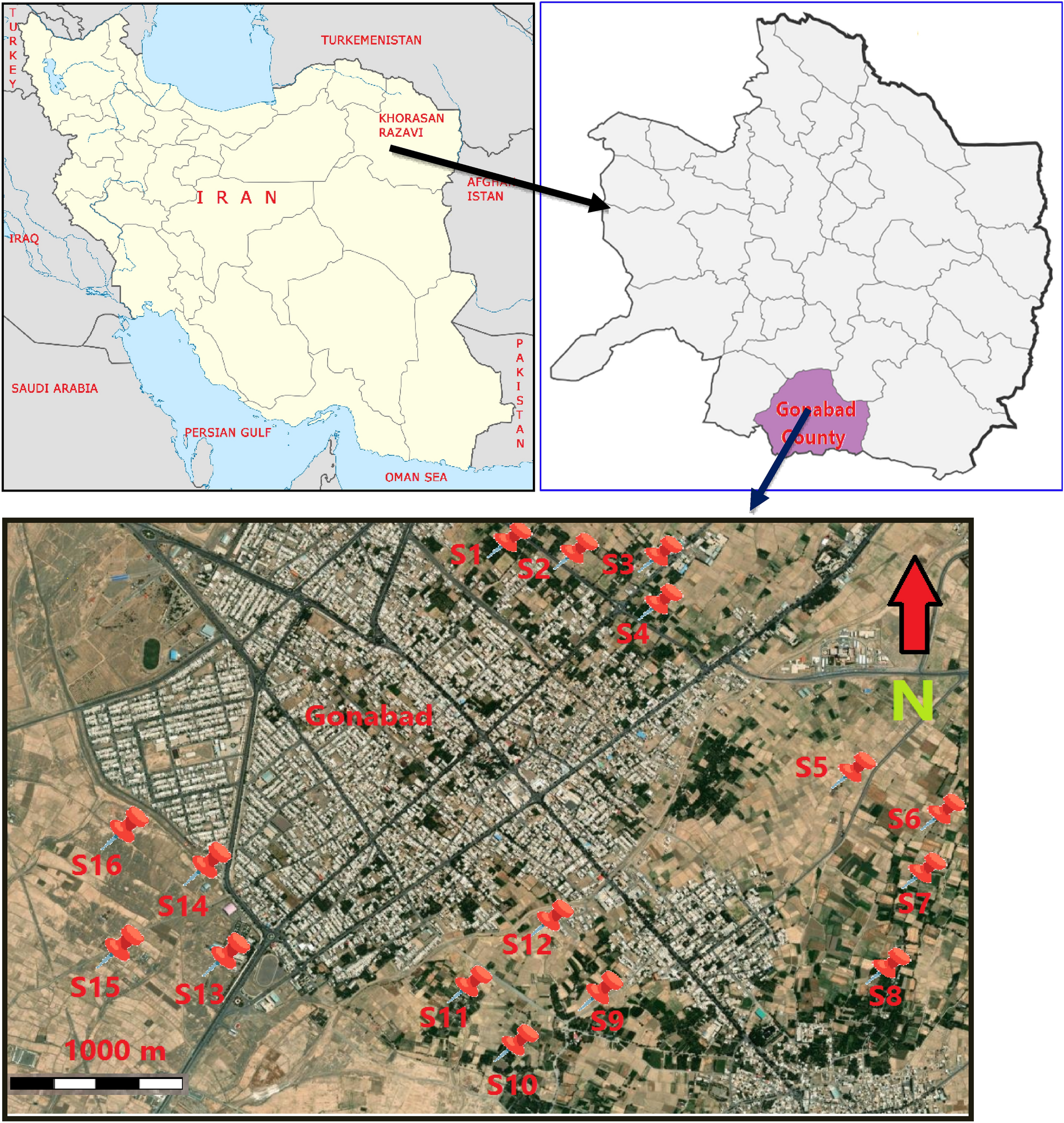 Health risk assessment of potentially toxic elements in the dry