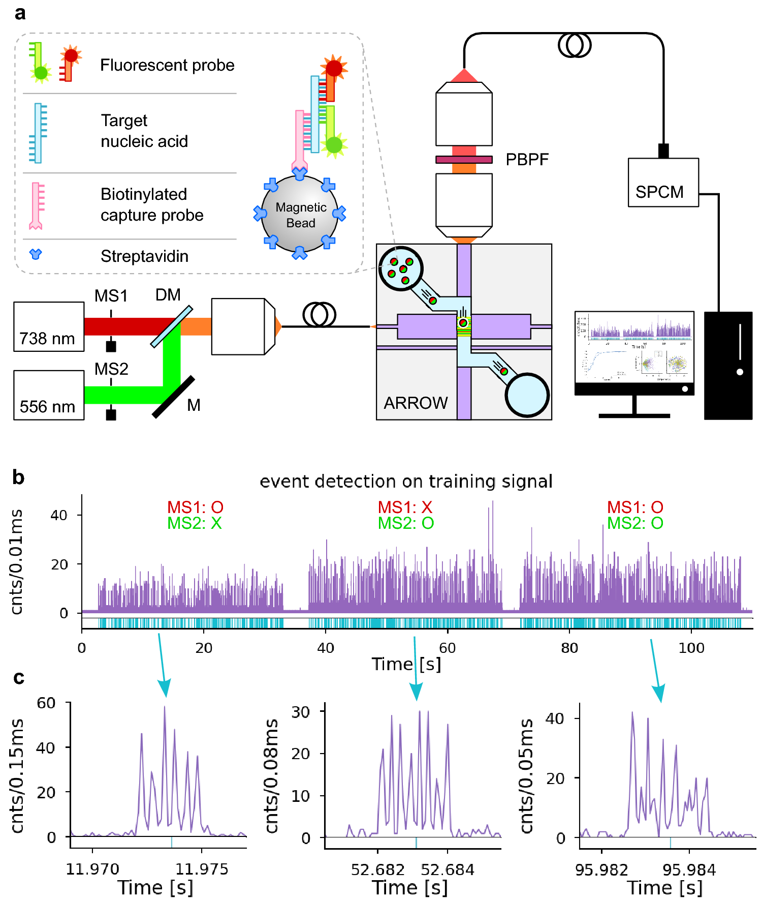 AI-integrated multiplexed optical fiber sensor for dynamic brain