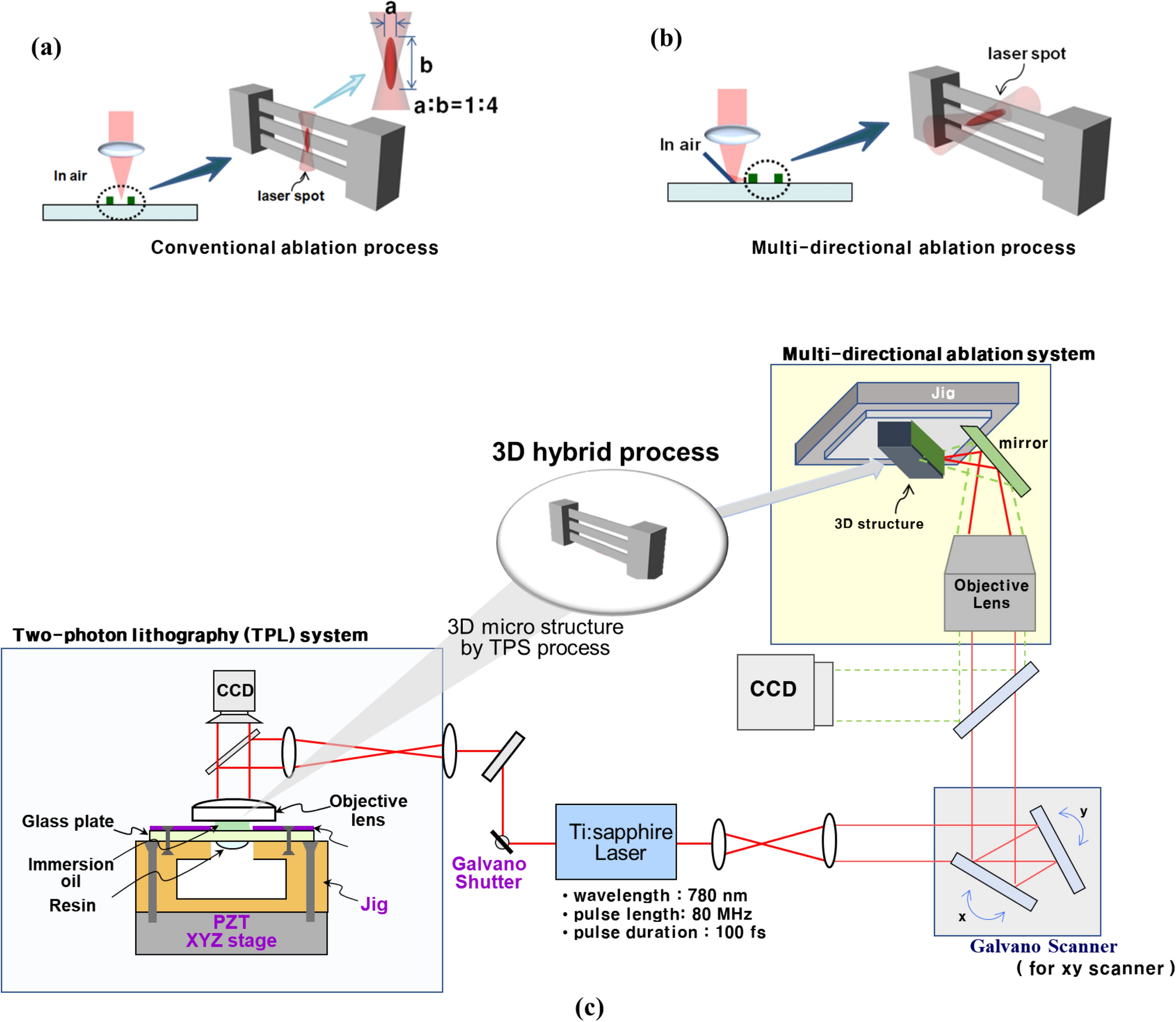 Development of the multi-directional ablation process using the femtosecond  laser to create a pattern on the lateral side of a 3D microstructure
