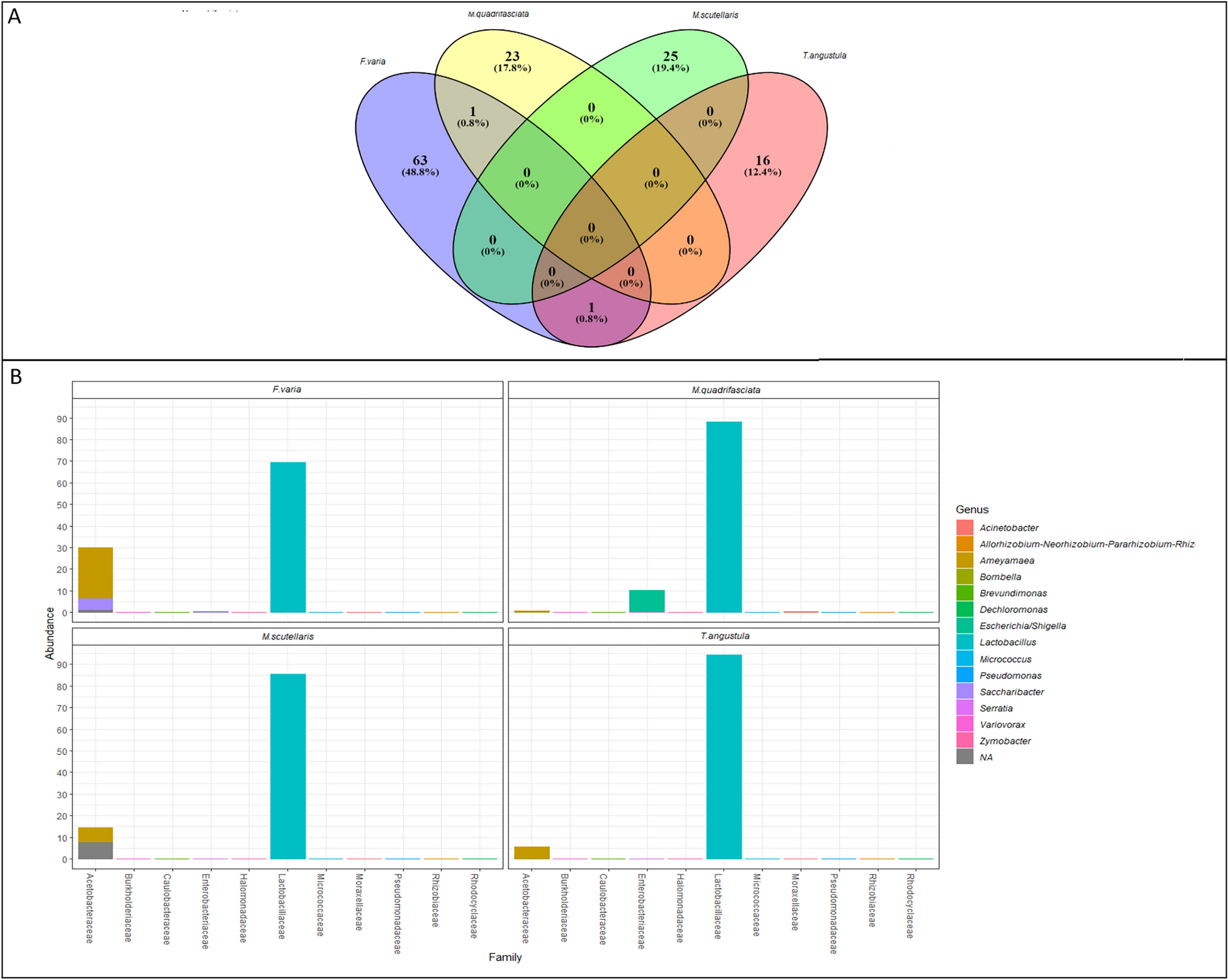 File:Agar.io-clone screenshot.png - Wikimedia Commons