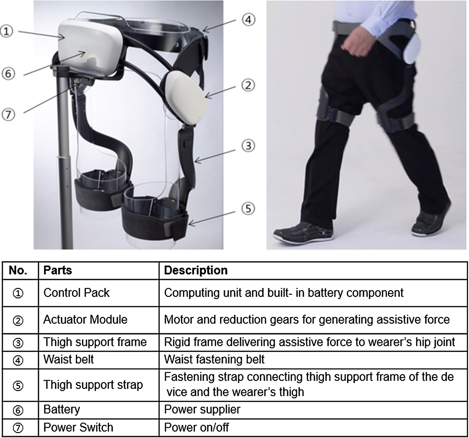 Exercise with a wearable hip-assist robot improved physical function and  walking efficiency in older adults | Scientific Reports