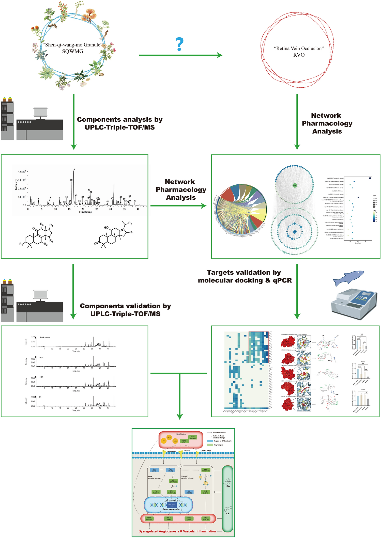 Typical BPI of feces samples in positive ESI mode. (A) Control group;