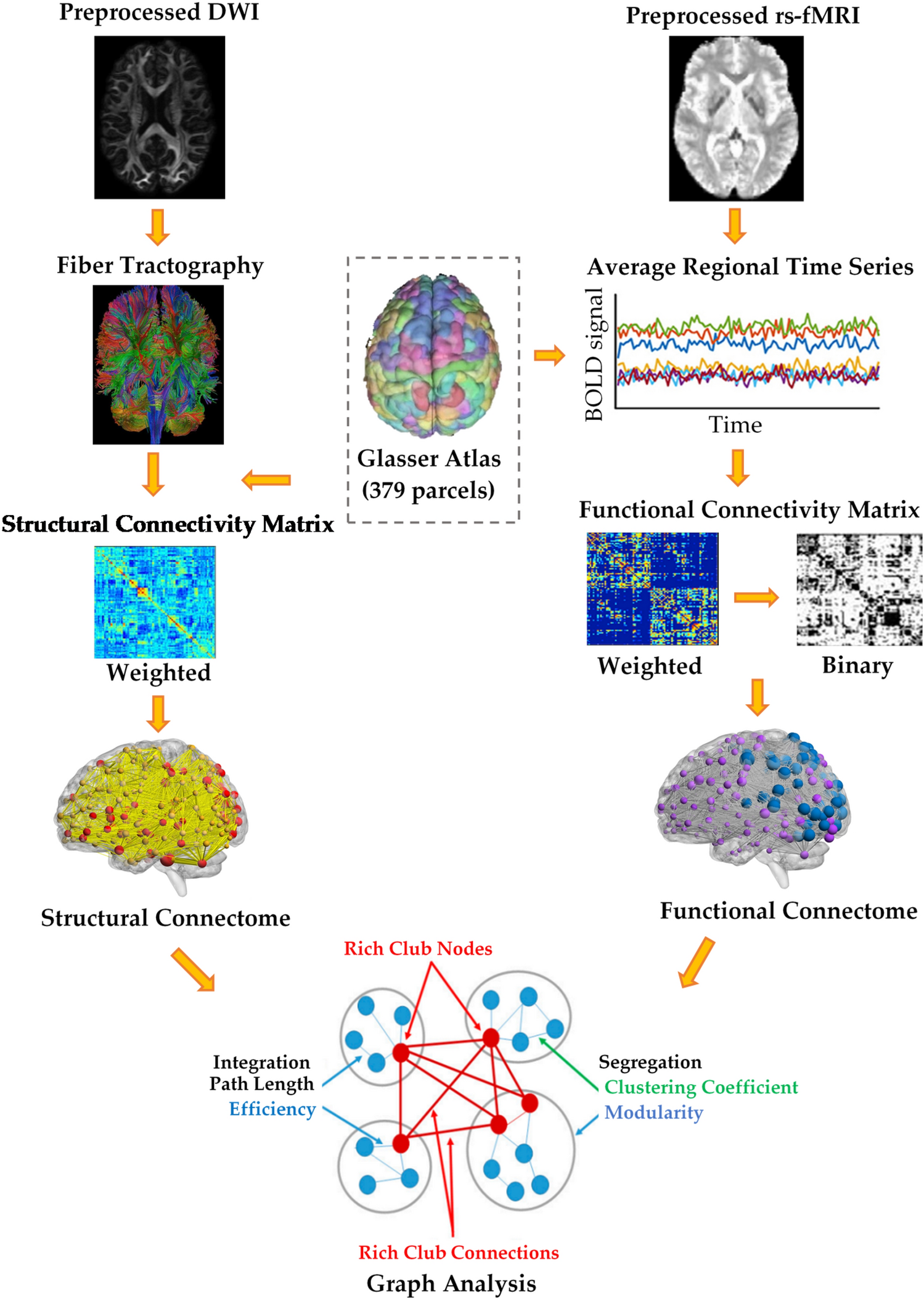 Altered brain structural and functional connectivity in cannabis users