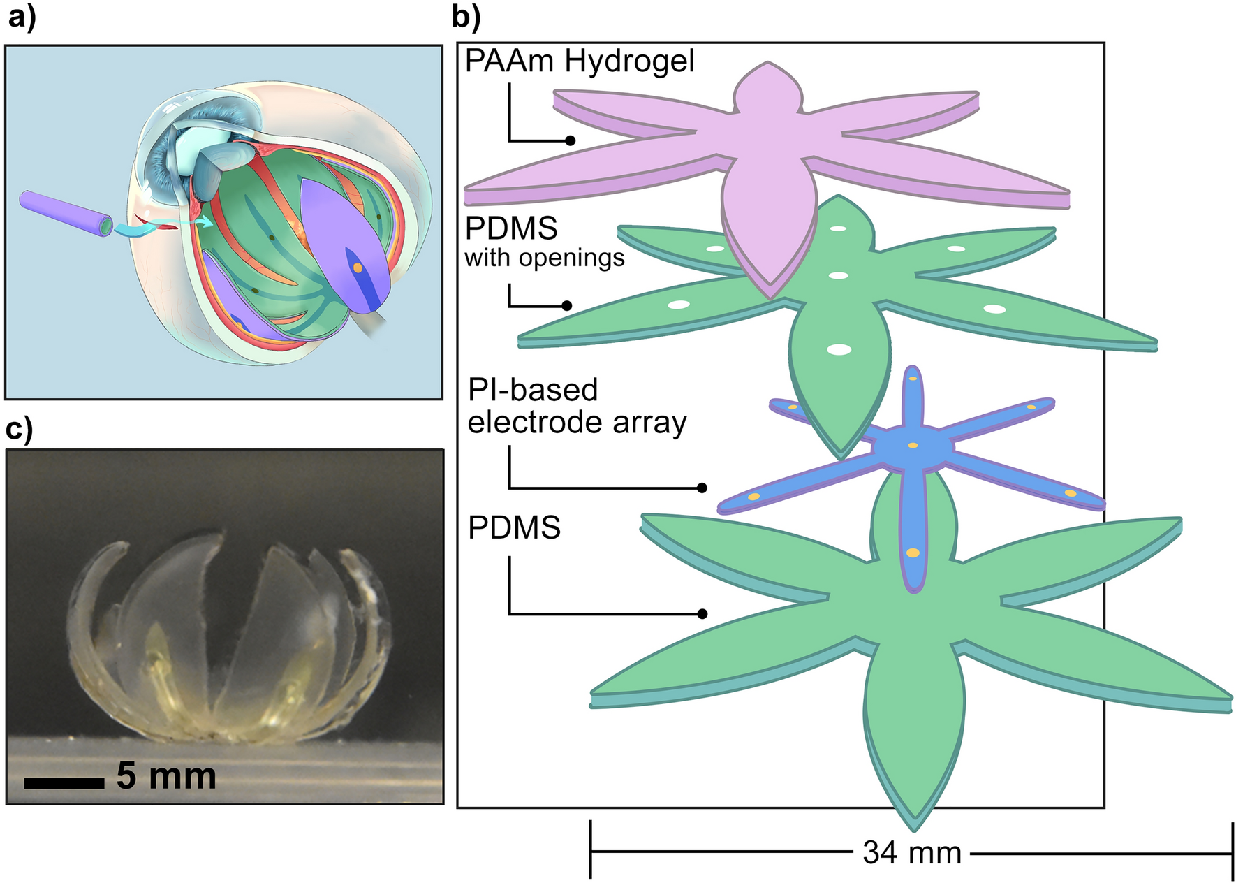 Hydrogel electrodes with conductive and substrate-adhesive layers