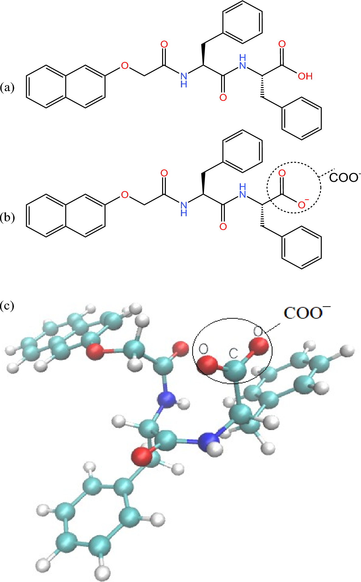 Molecular dynamics study of low molecular weight gel forming salt-triggered  dipeptide | Scientific Reports