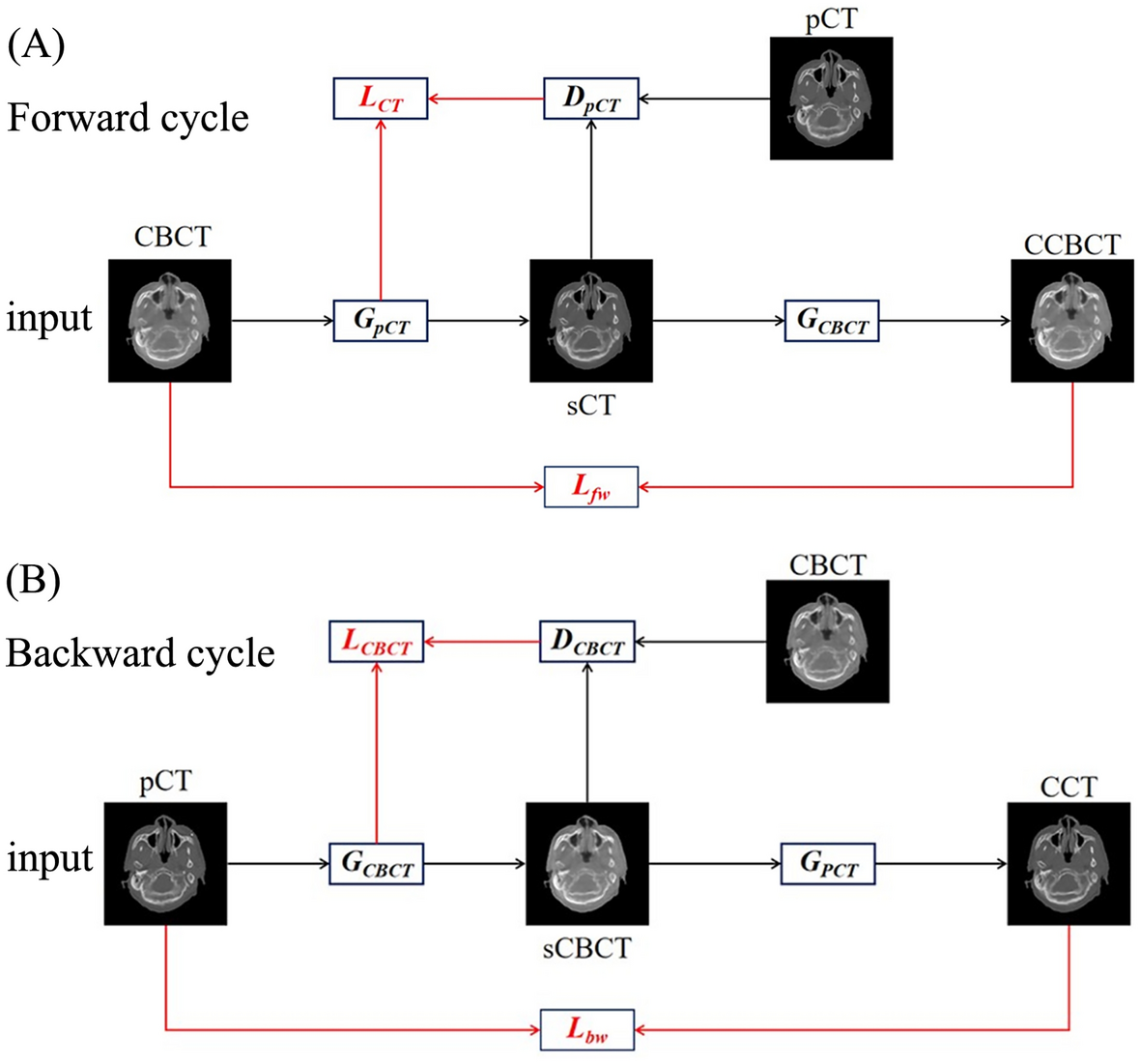 Synthetic CT generation from cone-beam CT using deep-learning for breast  adaptive radiotherapy - ScienceDirect