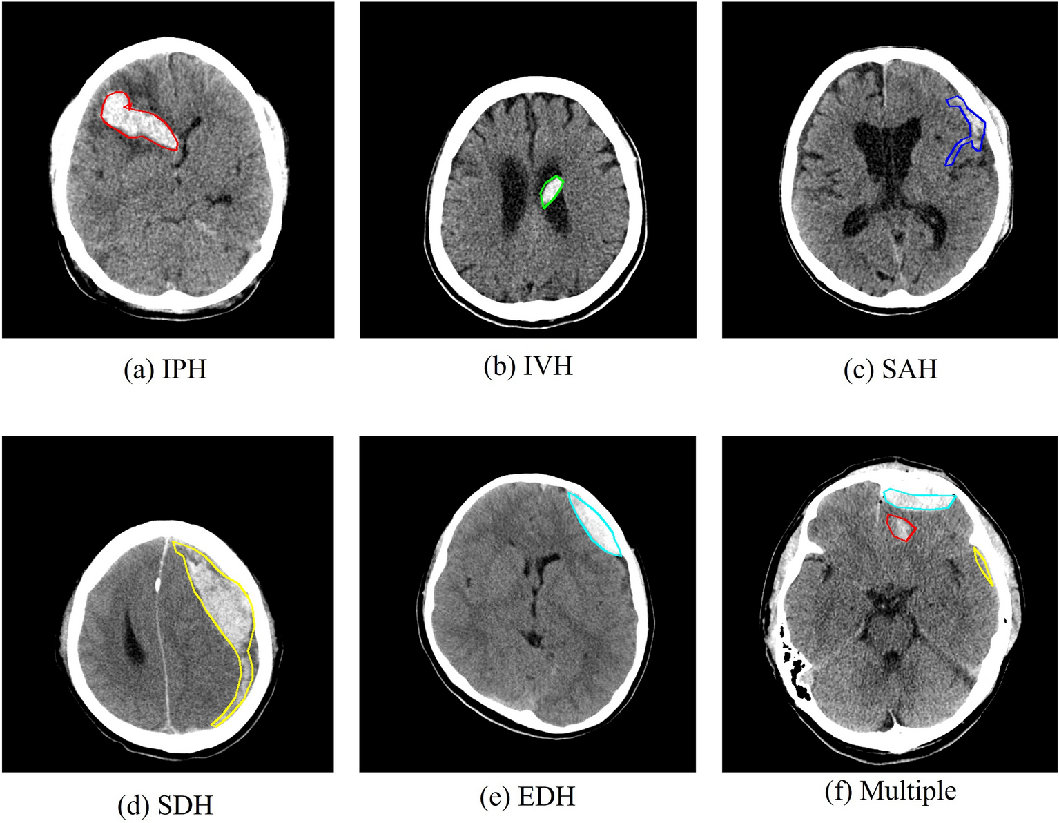 Powerful scans with world-class clinical measurements to enhance