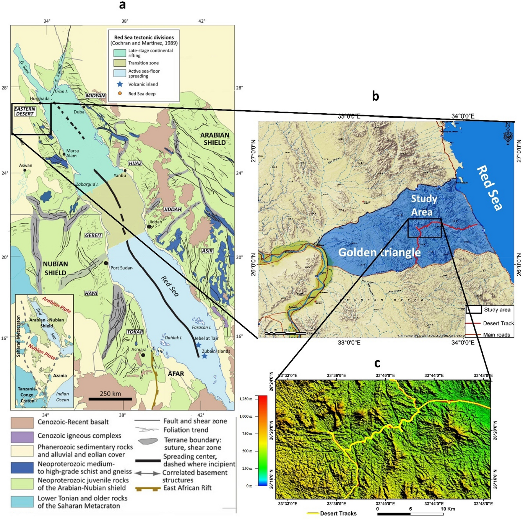 a Geologic map of the environs of the gold deposits and