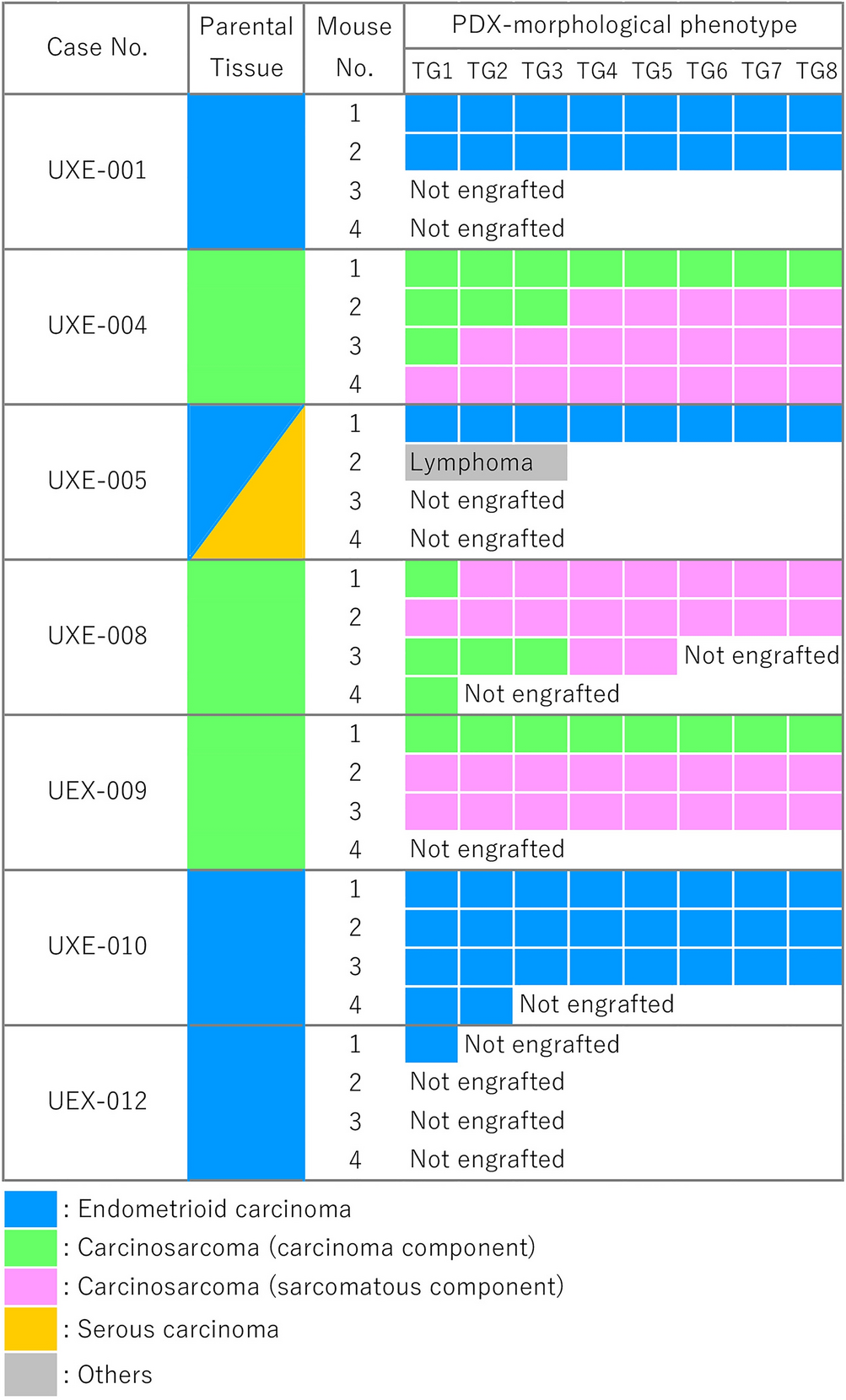 Alteration in molecular properties during establishment and passaging of  endometrial carcinoma patient-derived xenografts | Scientific Reports