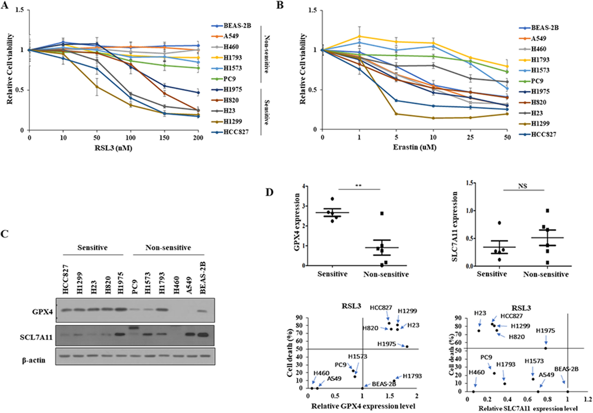 GPX4 overexpressed non-small cell lung cancer cells are sensitive to RSL3-induced ferroptosis