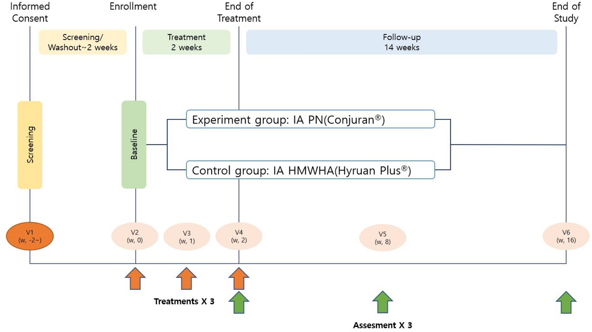 PDF) Influence of a periodized circuit training protocol on intermuscular  adipose tissue of patients with knee osteoarthritis: Protocol for a  randomized controlled trial