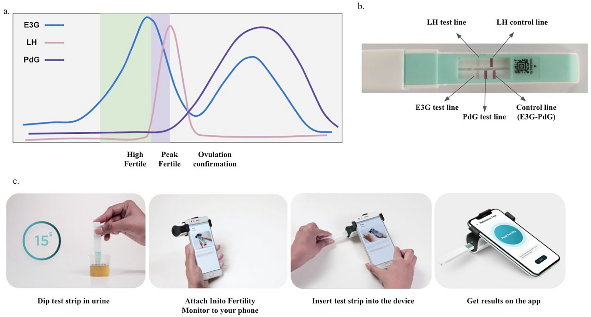 Fertility? Infertility? See How Your Ovulation Chart Compares