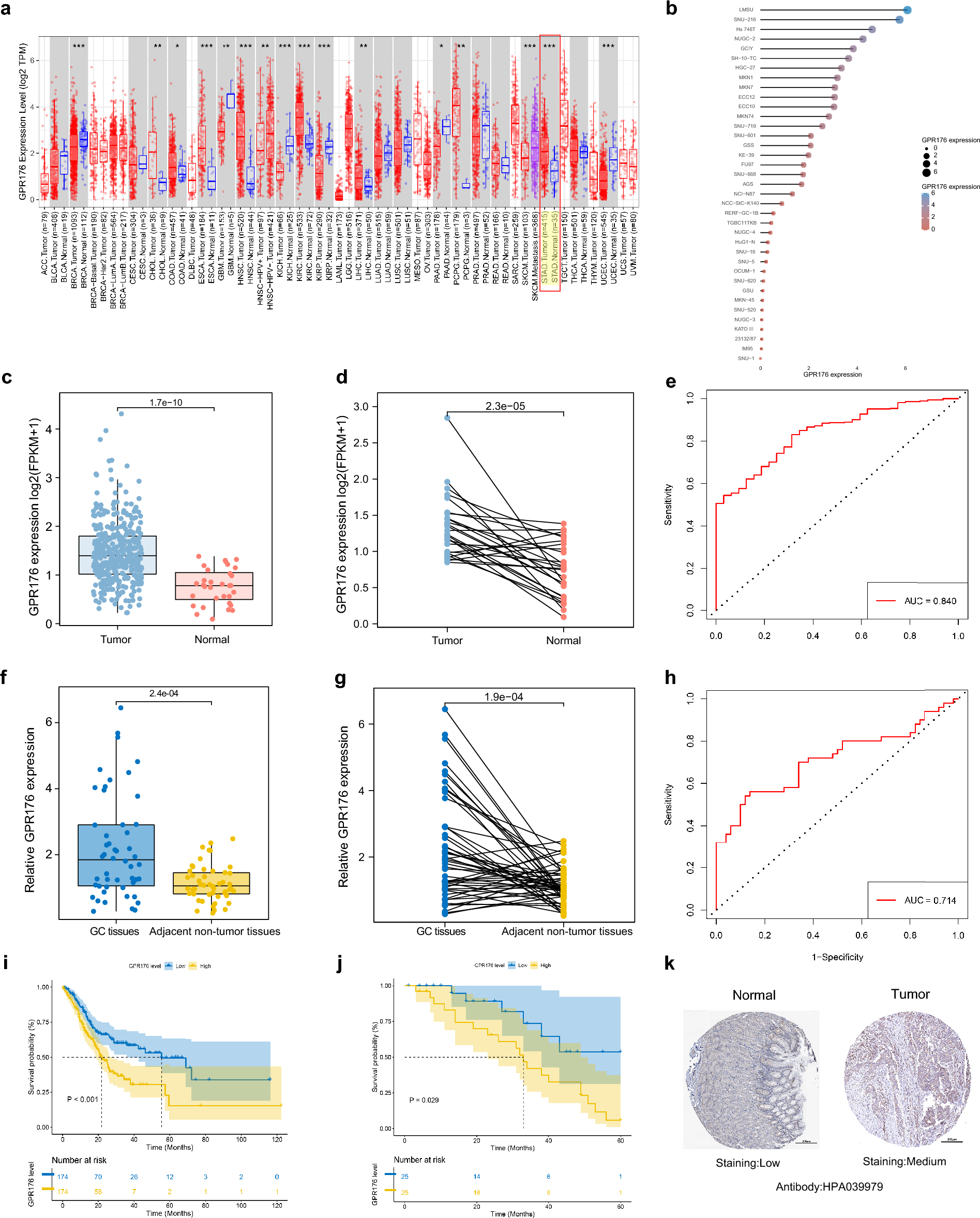 Identification and functional characterisation of N-linked glycosylation of  the orphan G protein-coupled receptor Gpr176