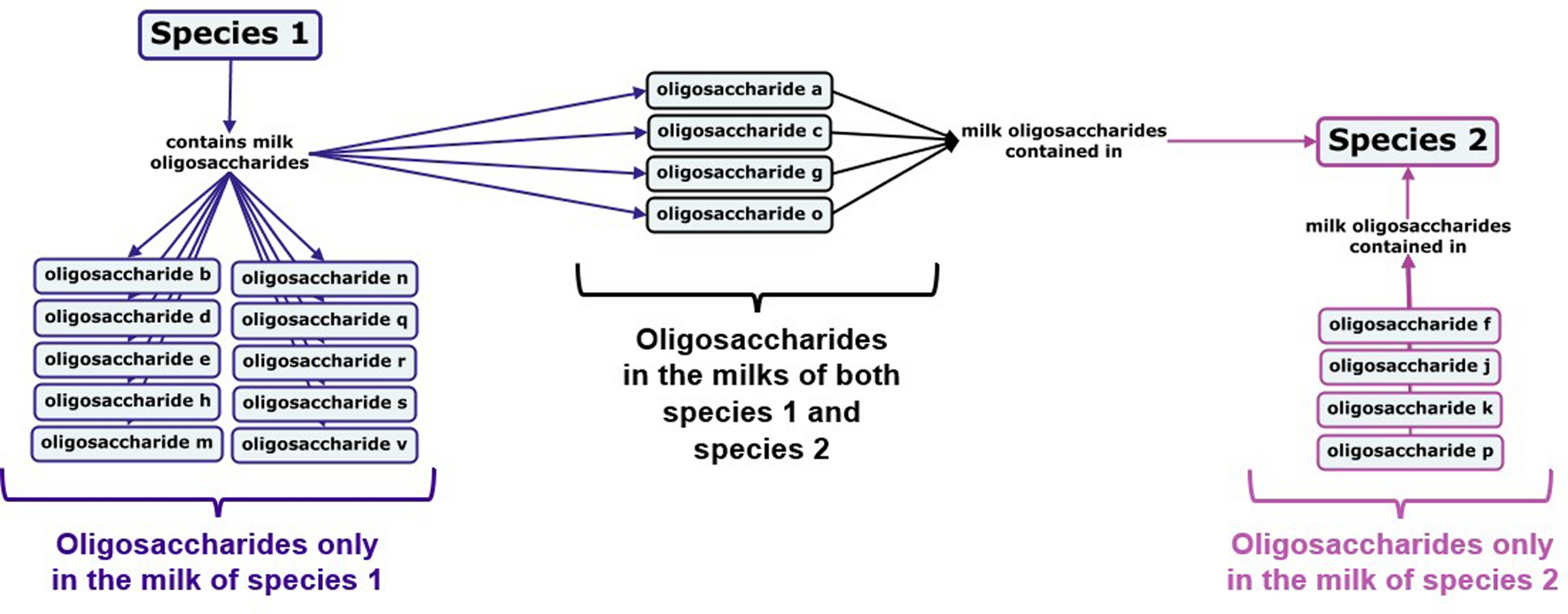 Characterization and Quantification of Oligosaccharides in Human Milk and  Infant Formula