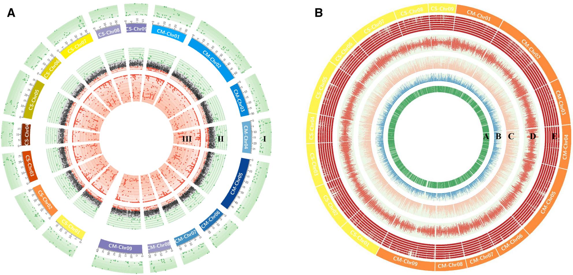 Comprehensive genome-wide identification and transferability of