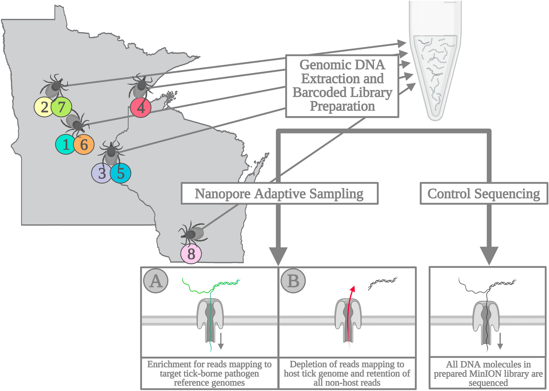 Using airborne DNA to monitor insect biodiversity - Tech Explorist